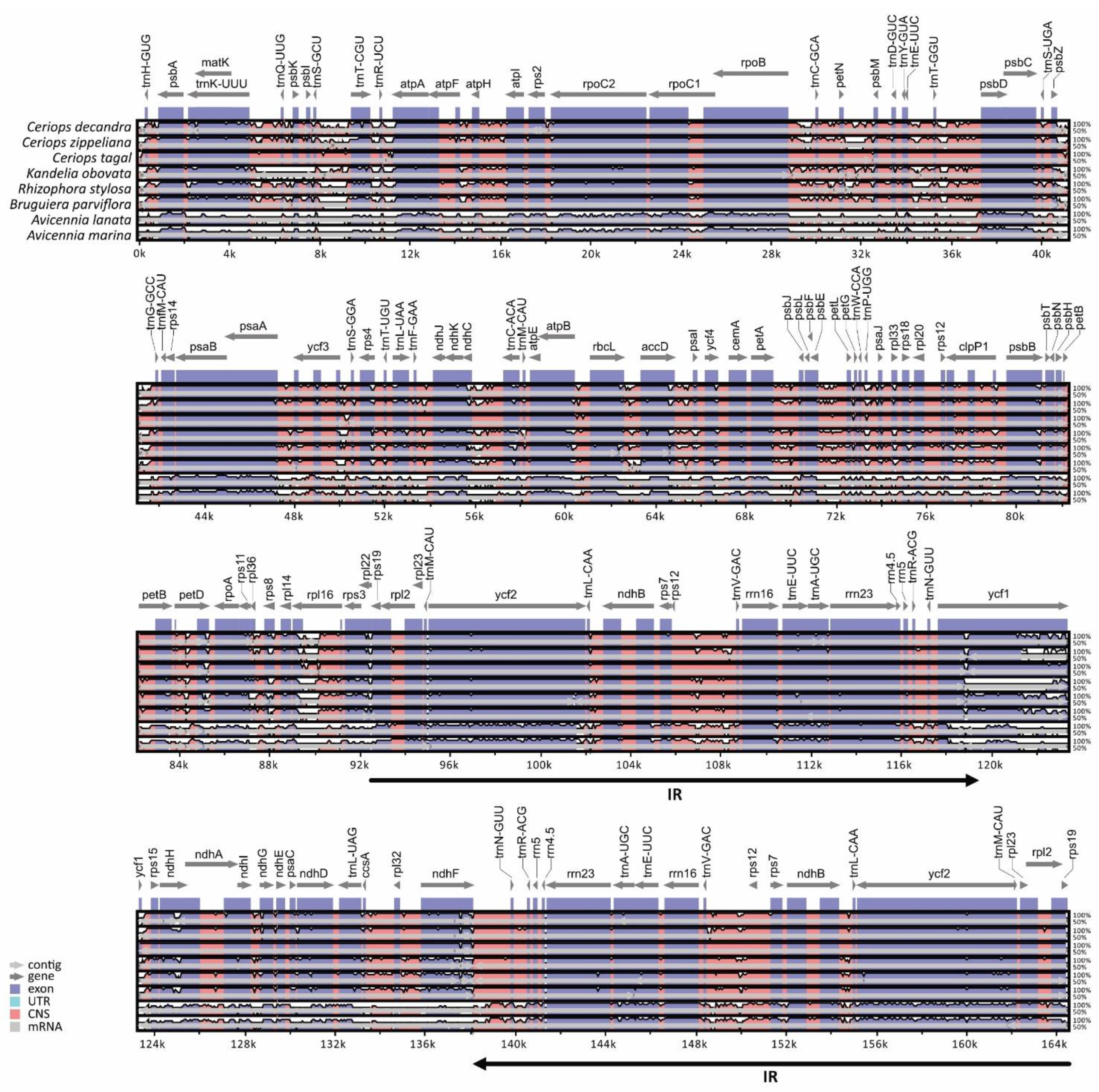 Biology 11 00383 g002 Biology 11 00383 g002