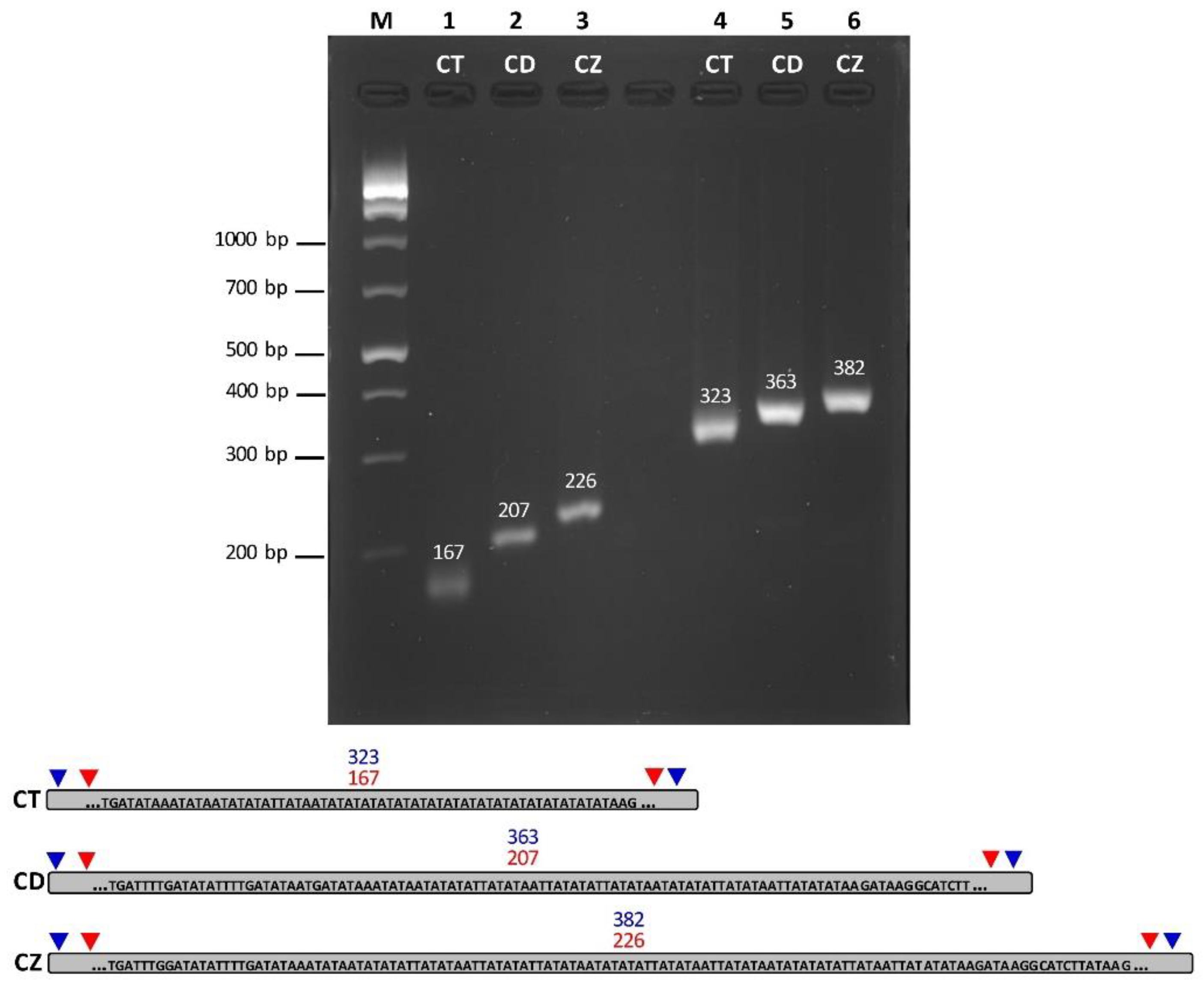 Biology 11 00383 g005 Biology 11 00383 g005