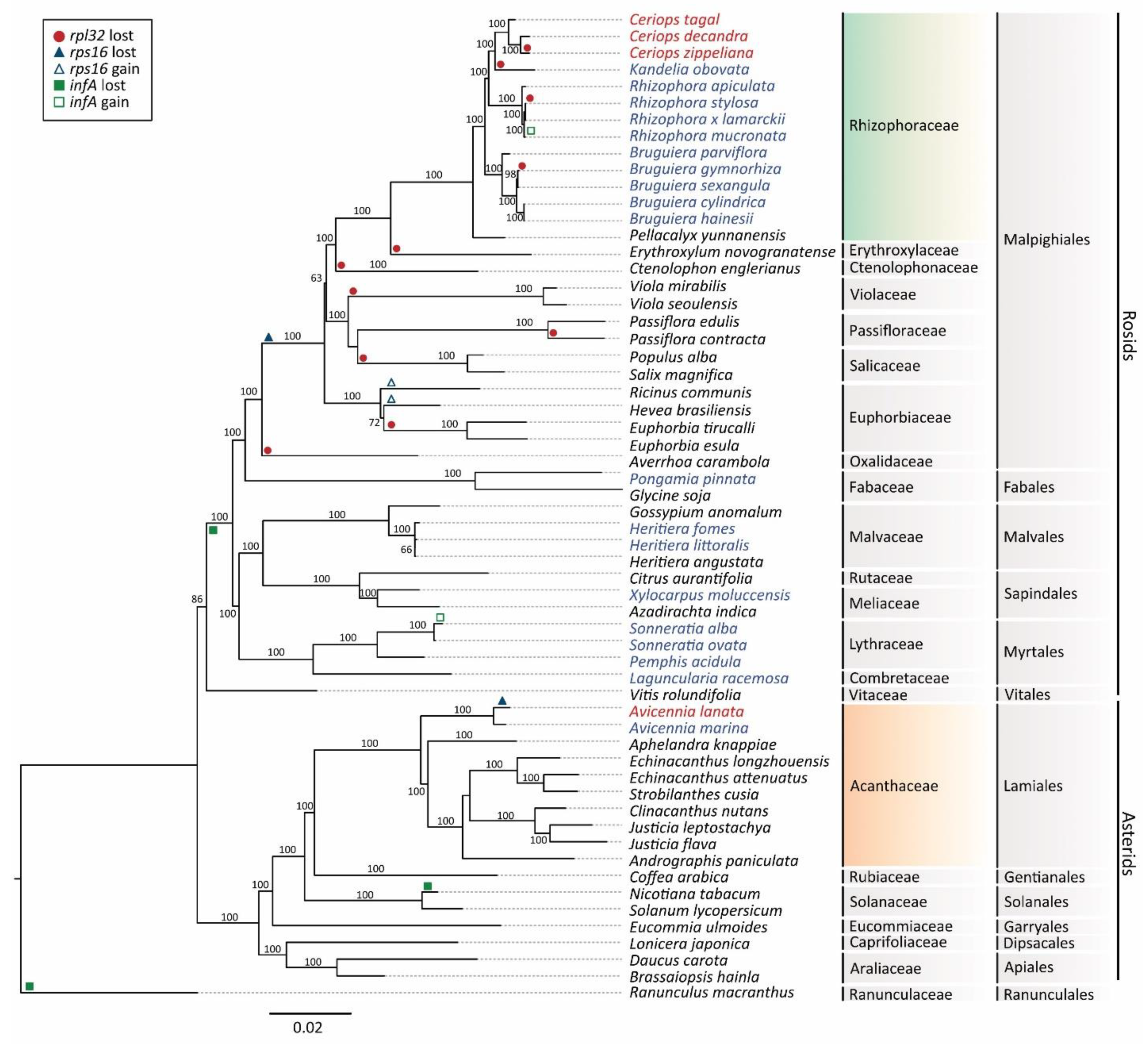Biology 11 00383 g006 Biology 11 00383 g006