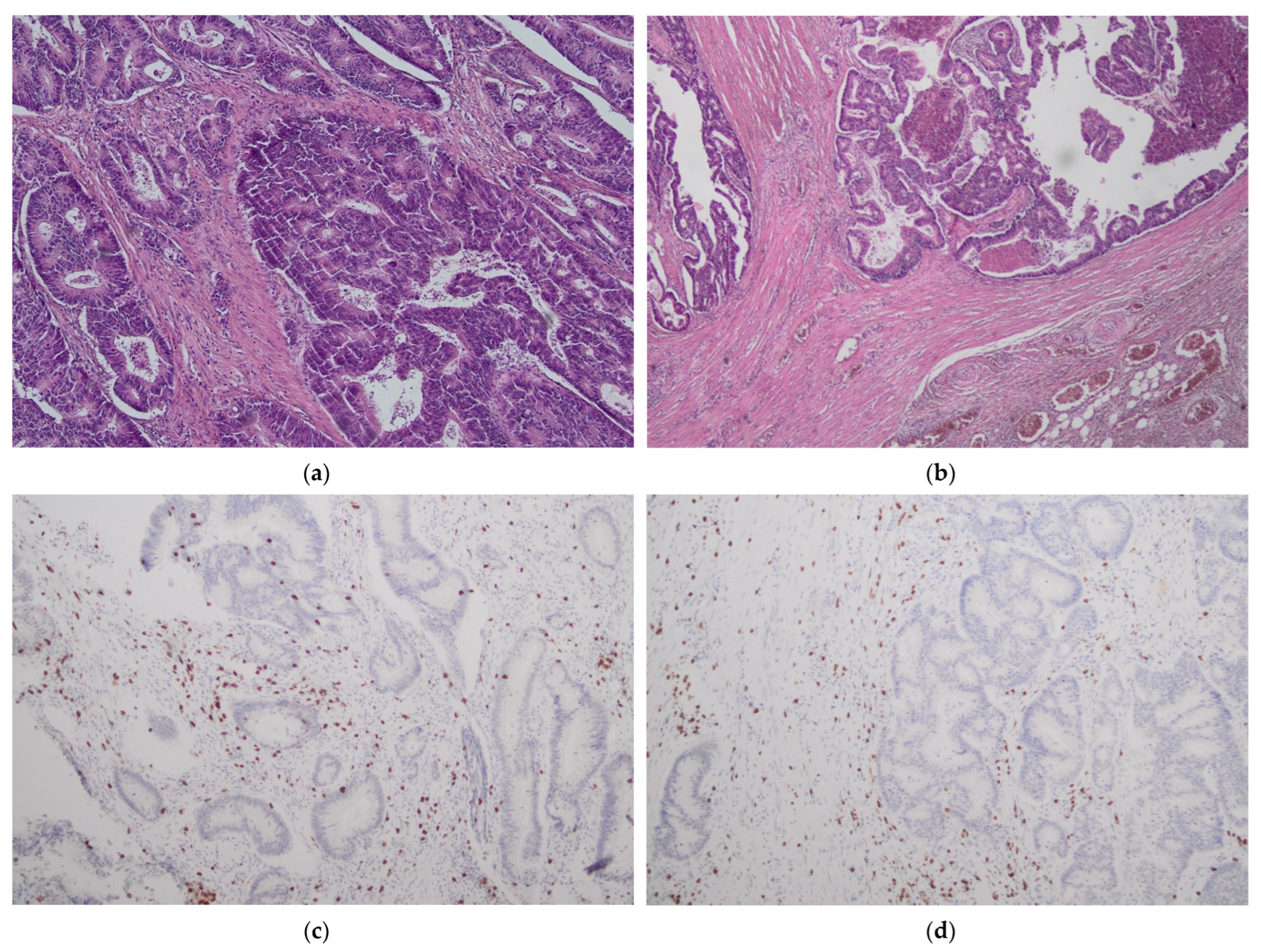 Biology 11 00385 g001