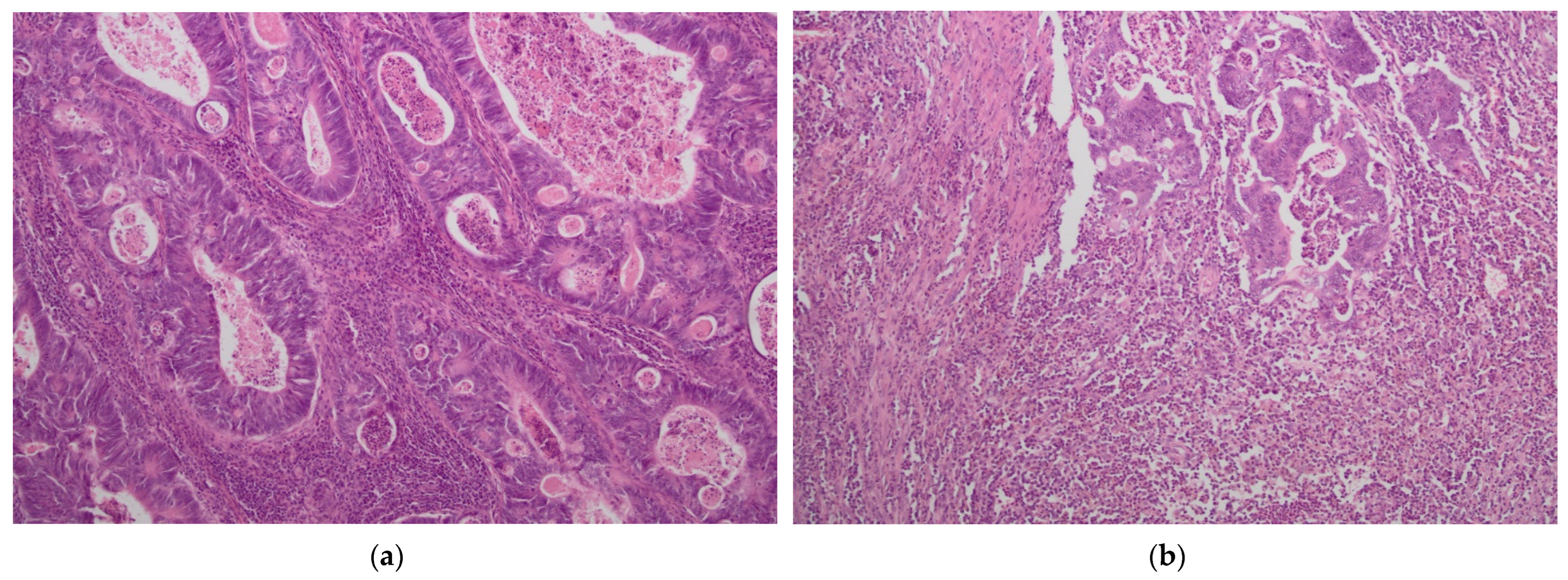 Biology 11 00385 g002a