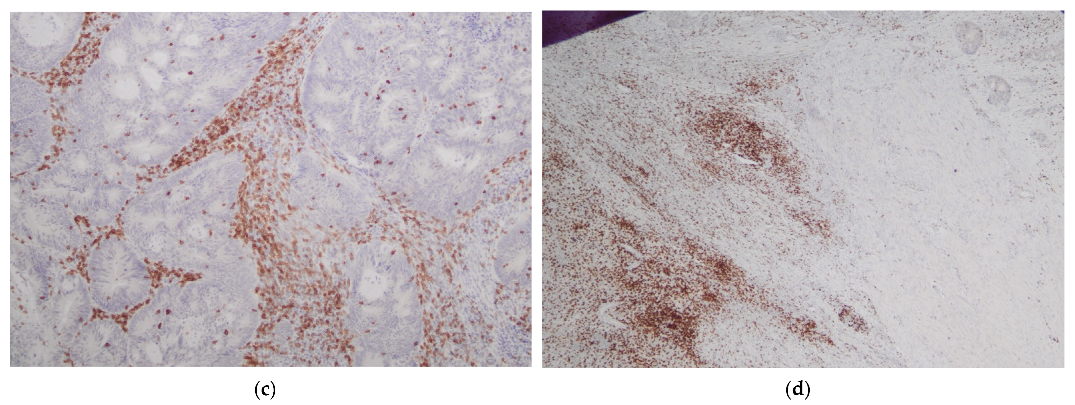 Biology 11 00385 g002b