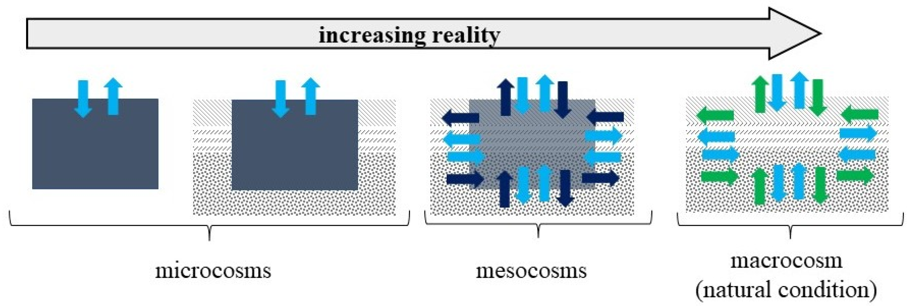 Biology 11 00386 g001 Biology 11 00386 g001