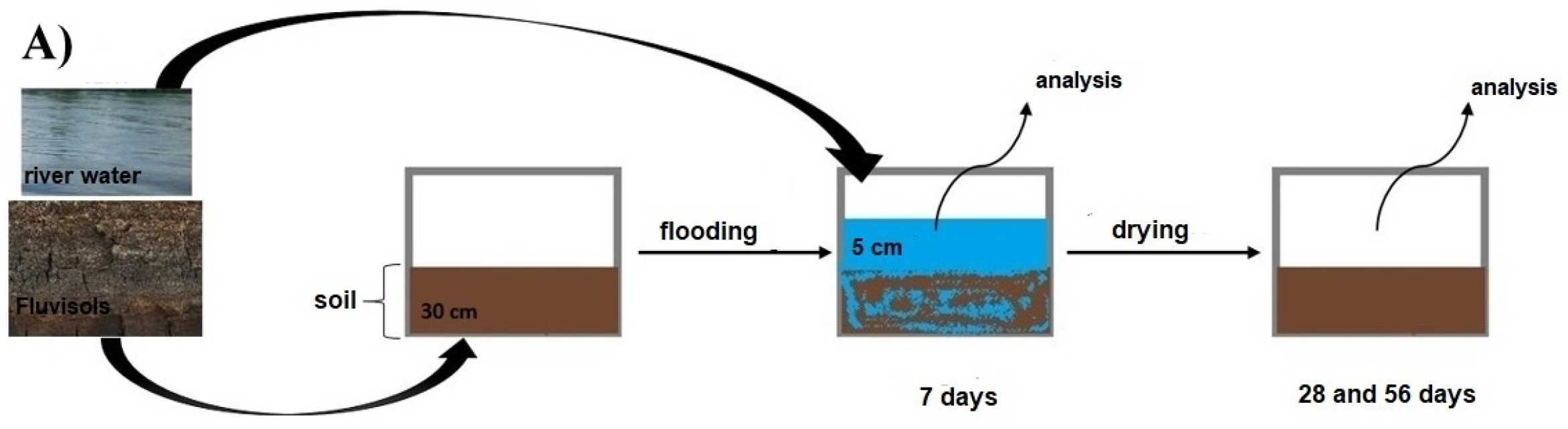Biology 11 00386 g002a Biology 11 00386 g002a