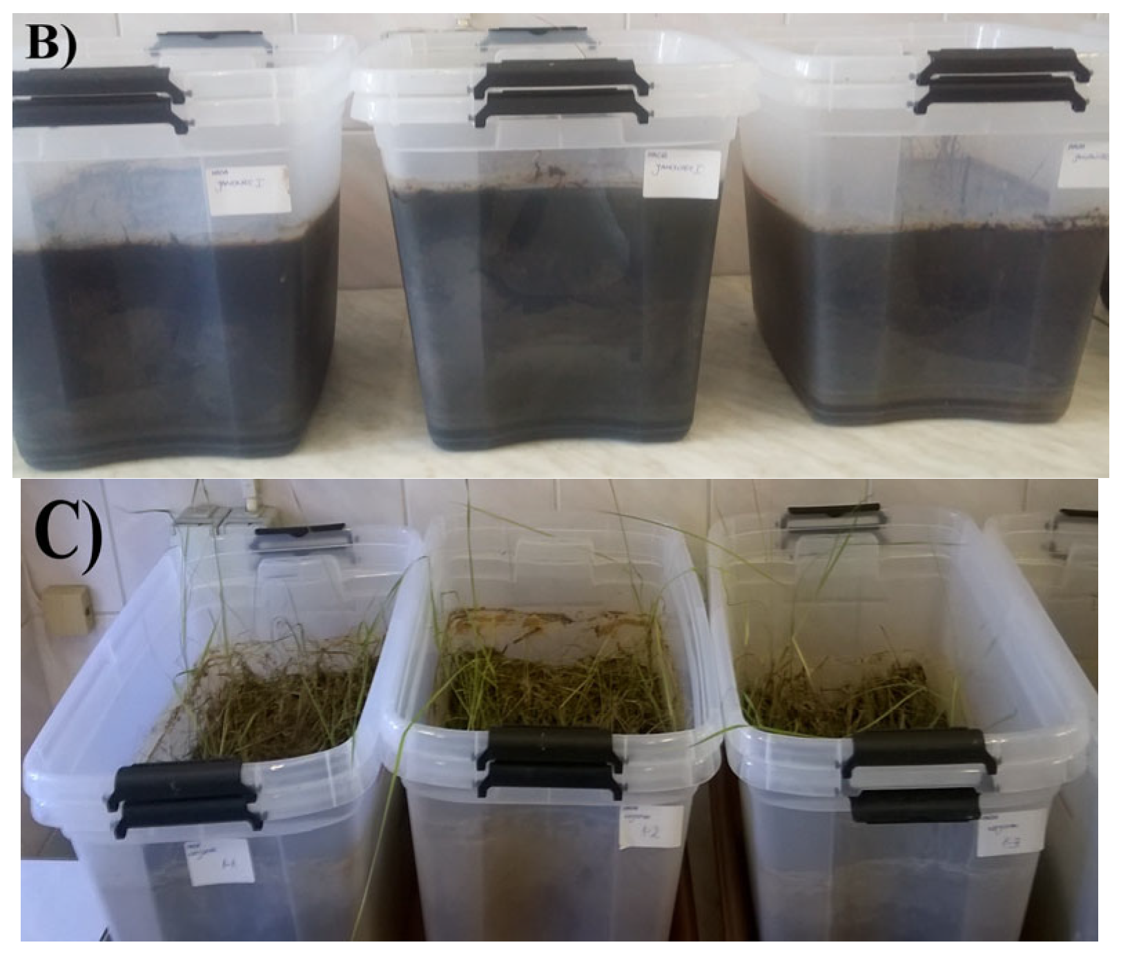 Biology 11 00386 g002b Biology 11 00386 g002b