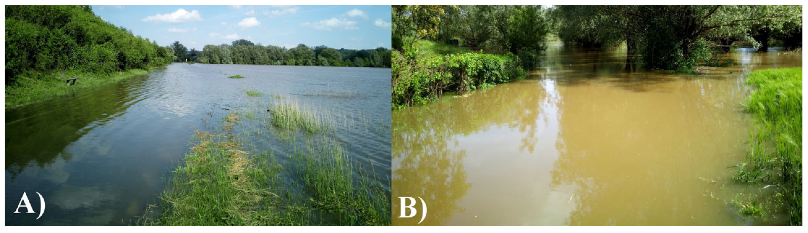 Biology 11 00386 g003 Biology 11 00386 g003