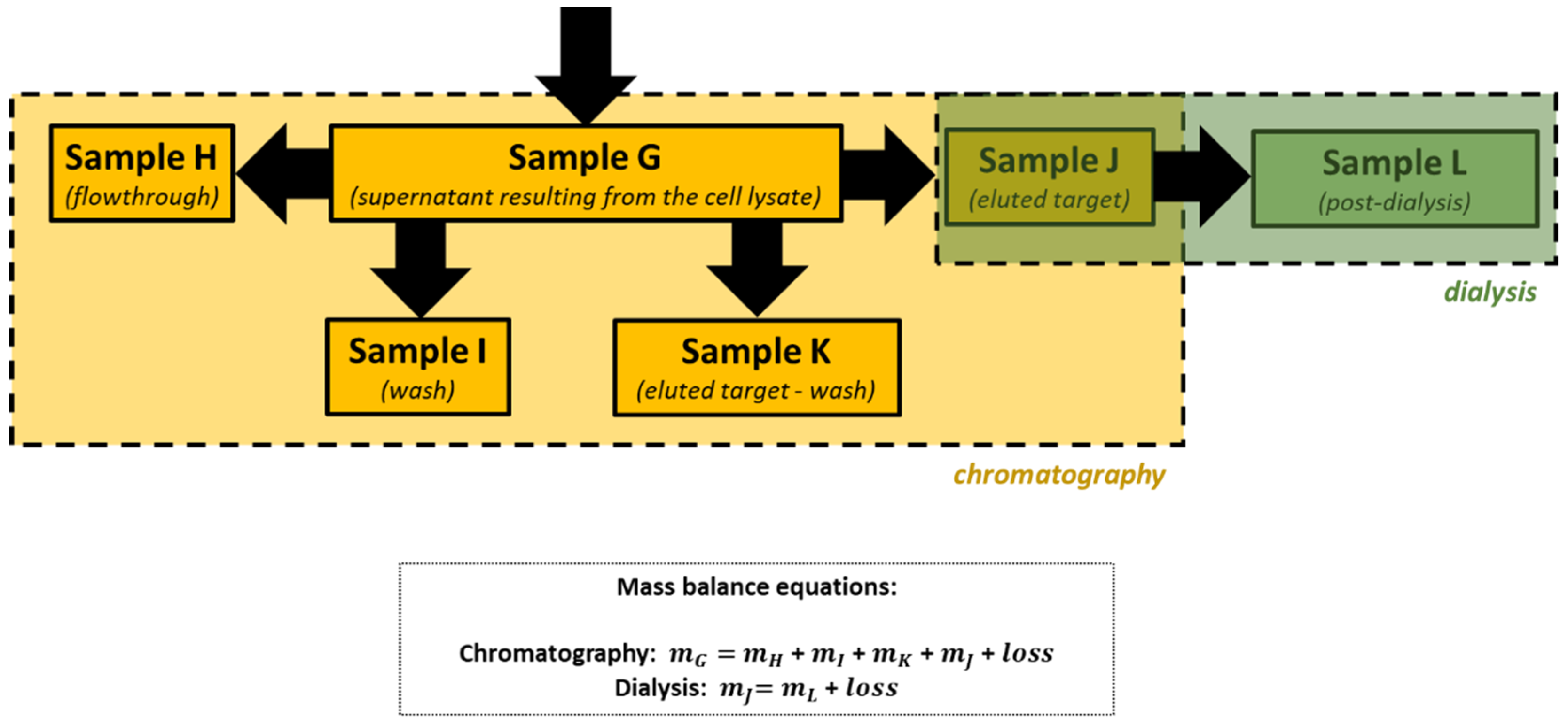 Biology 11 00387 g005