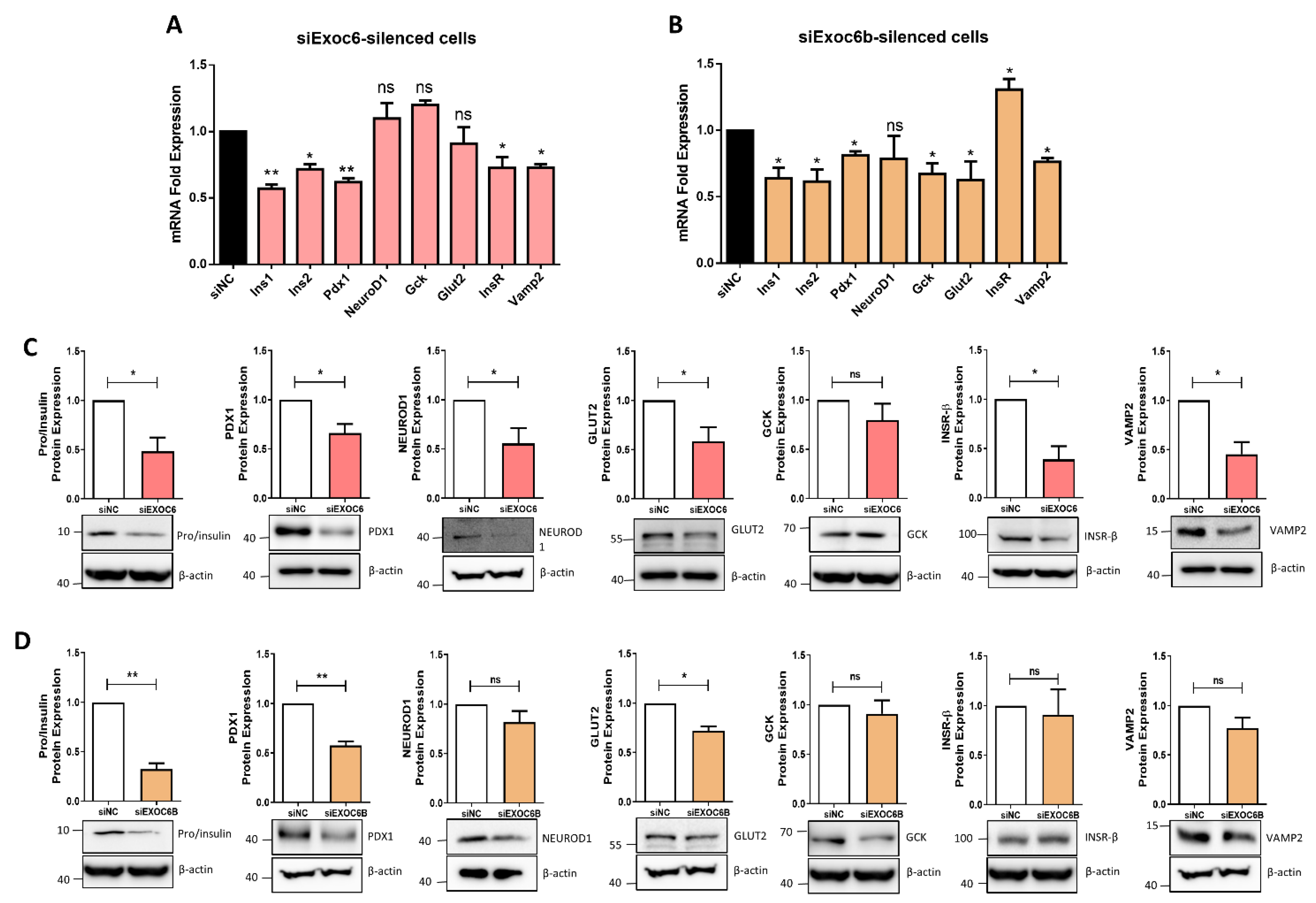 Biology 11 00388 g004
