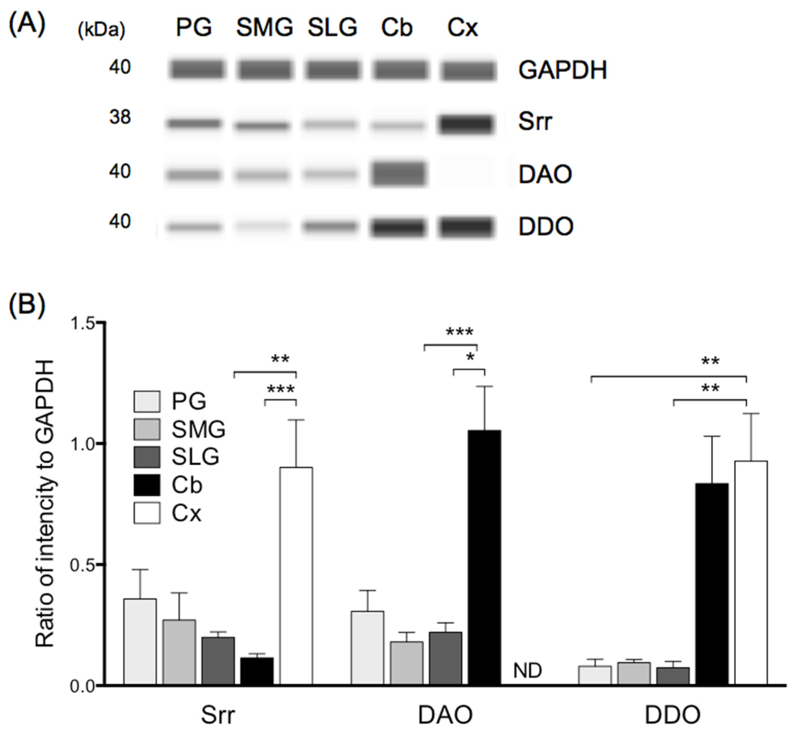 Biology 11 00390 g002