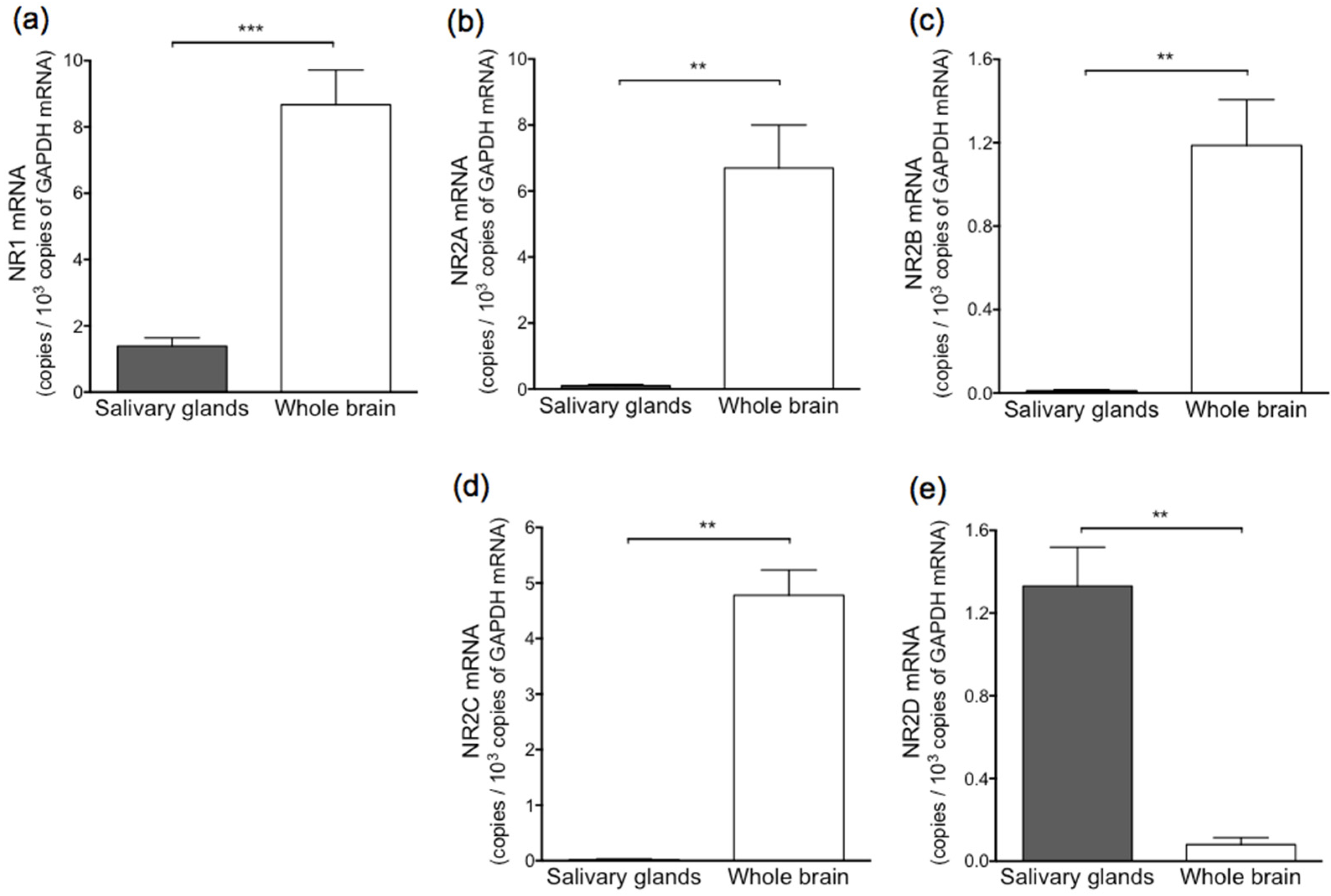 Biology 11 00390 g003
