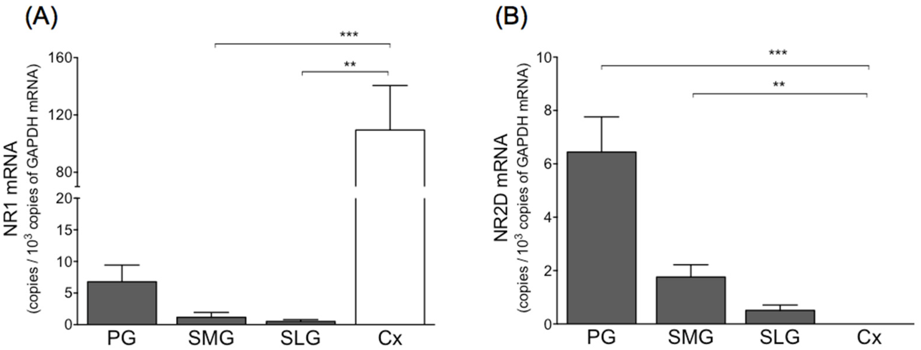 Biology 11 00390 g004