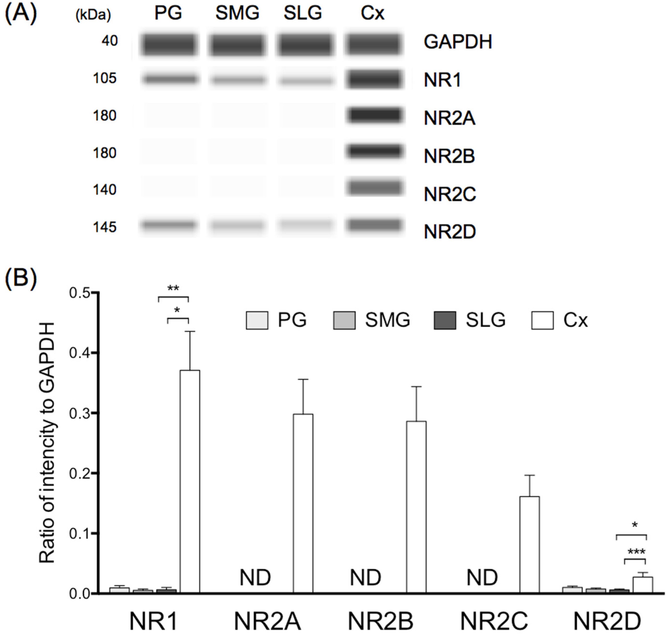 Biology 11 00390 g005