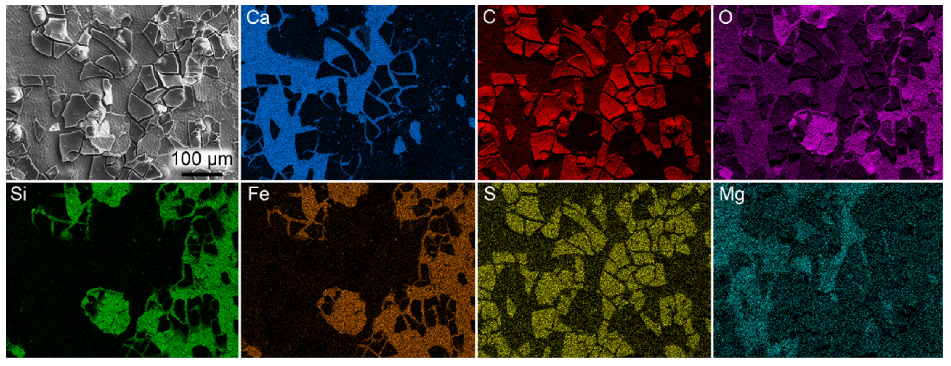 Biology 11 00395 g002 Biology 11 00395 g002