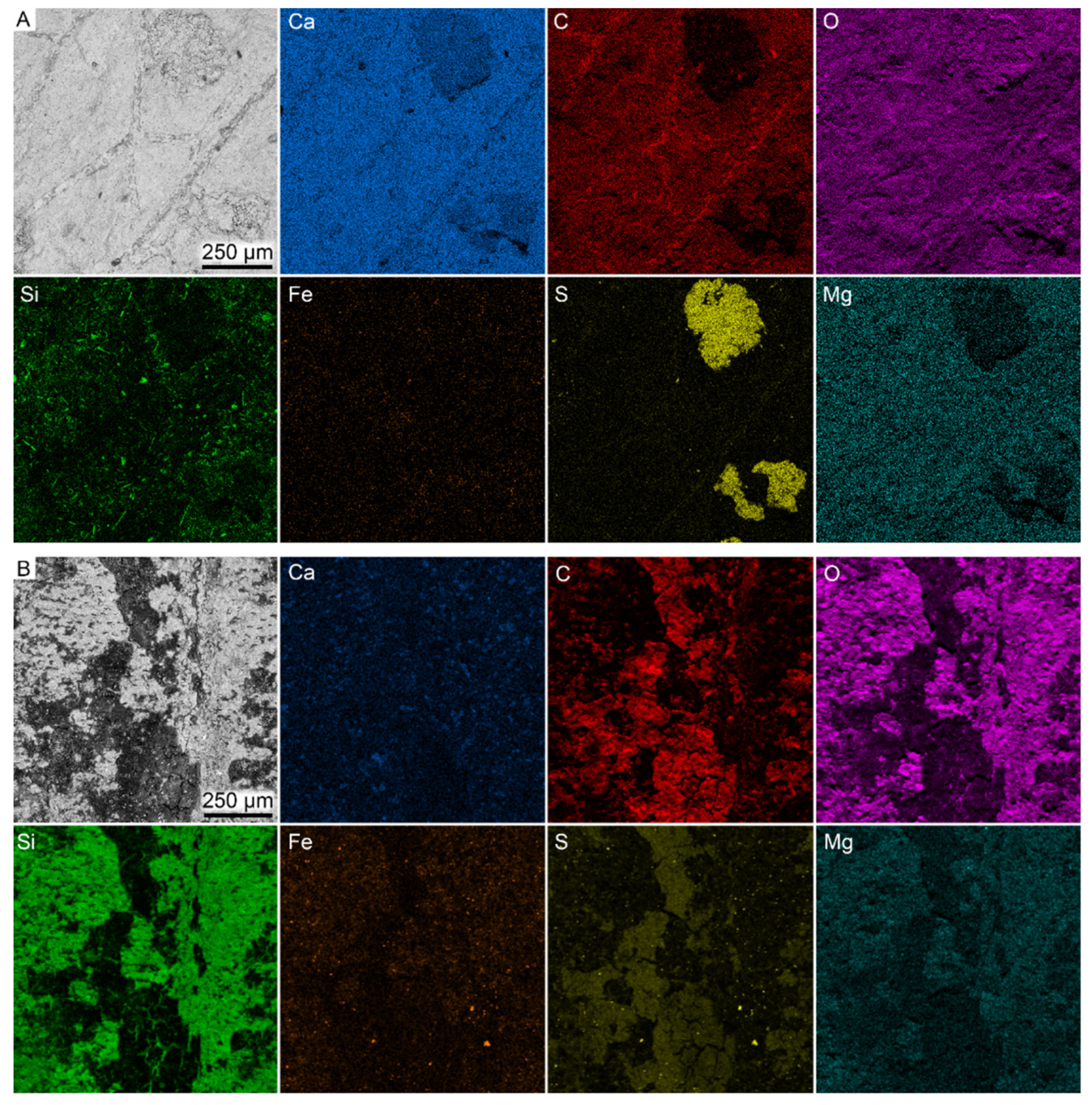 Biology 11 00395 g006 Biology 11 00395 g006