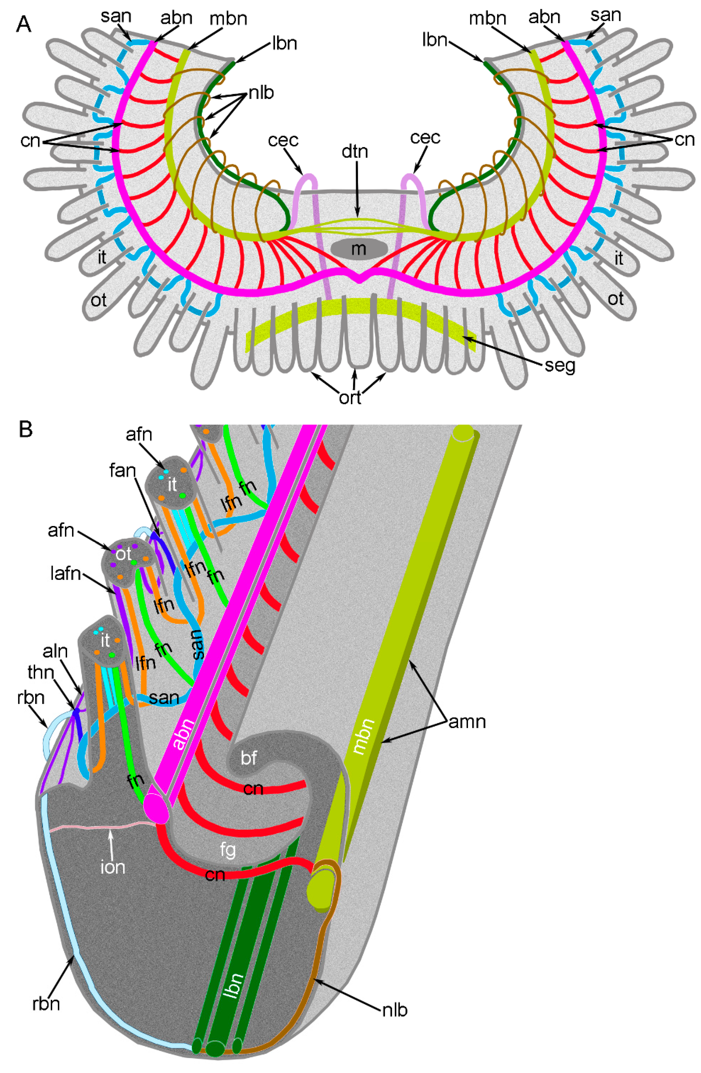 Biology 11 00406 g005