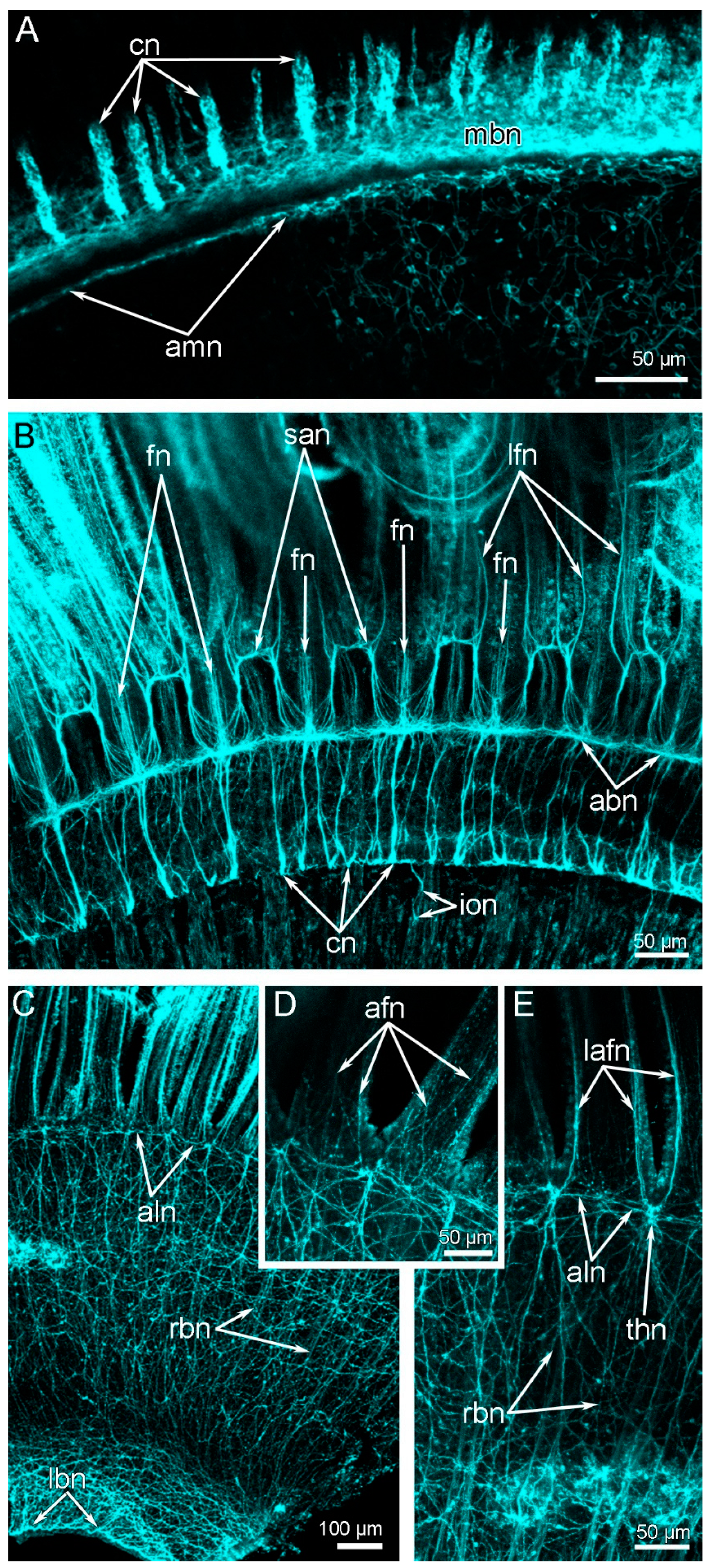 Biology 11 00406 g007