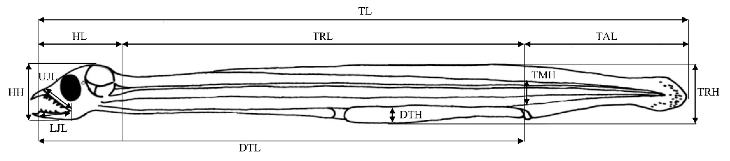 Biology 11 00407 g002 Biology 11 00407 g002