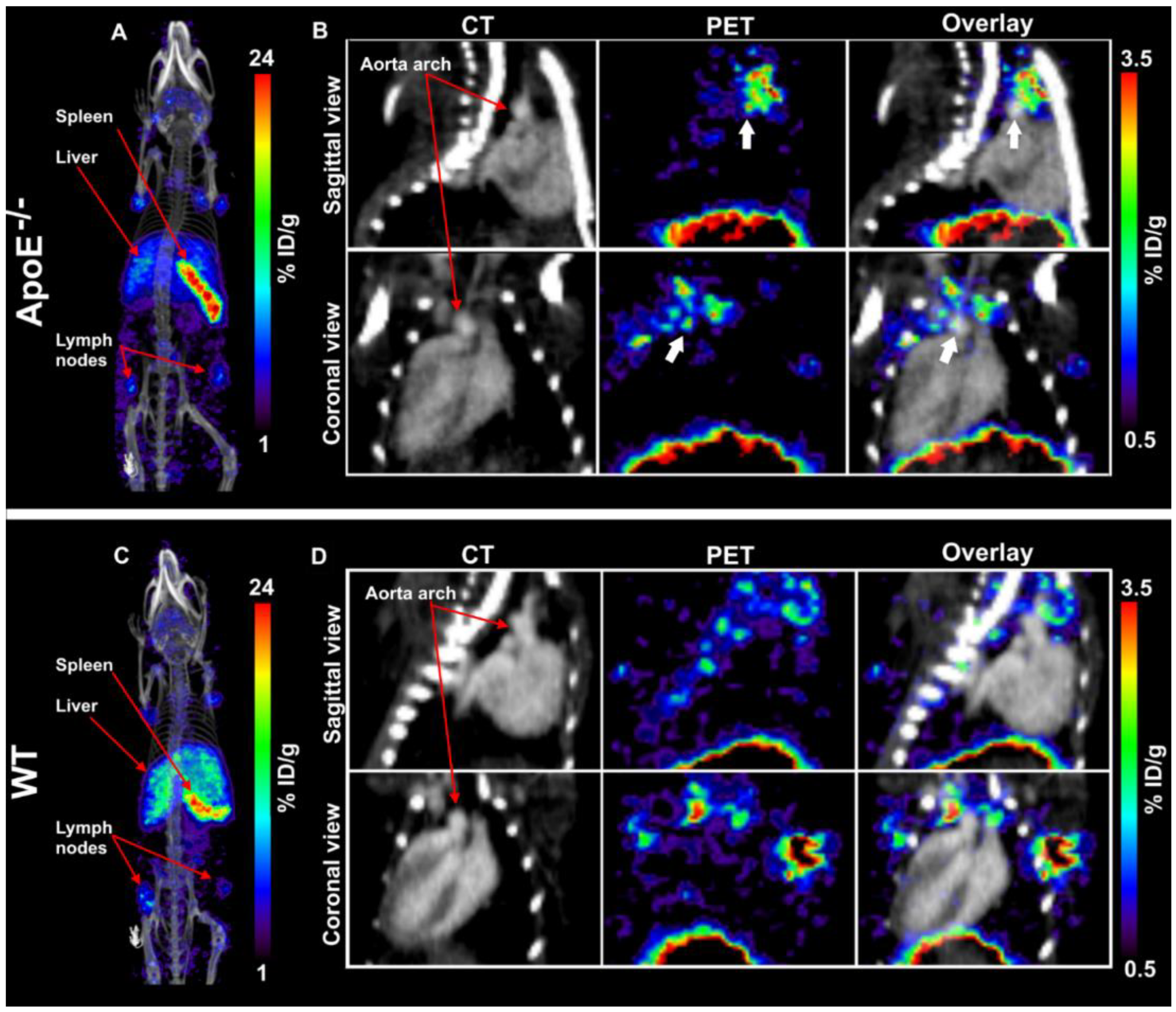 Biology 11 00408 g002 550