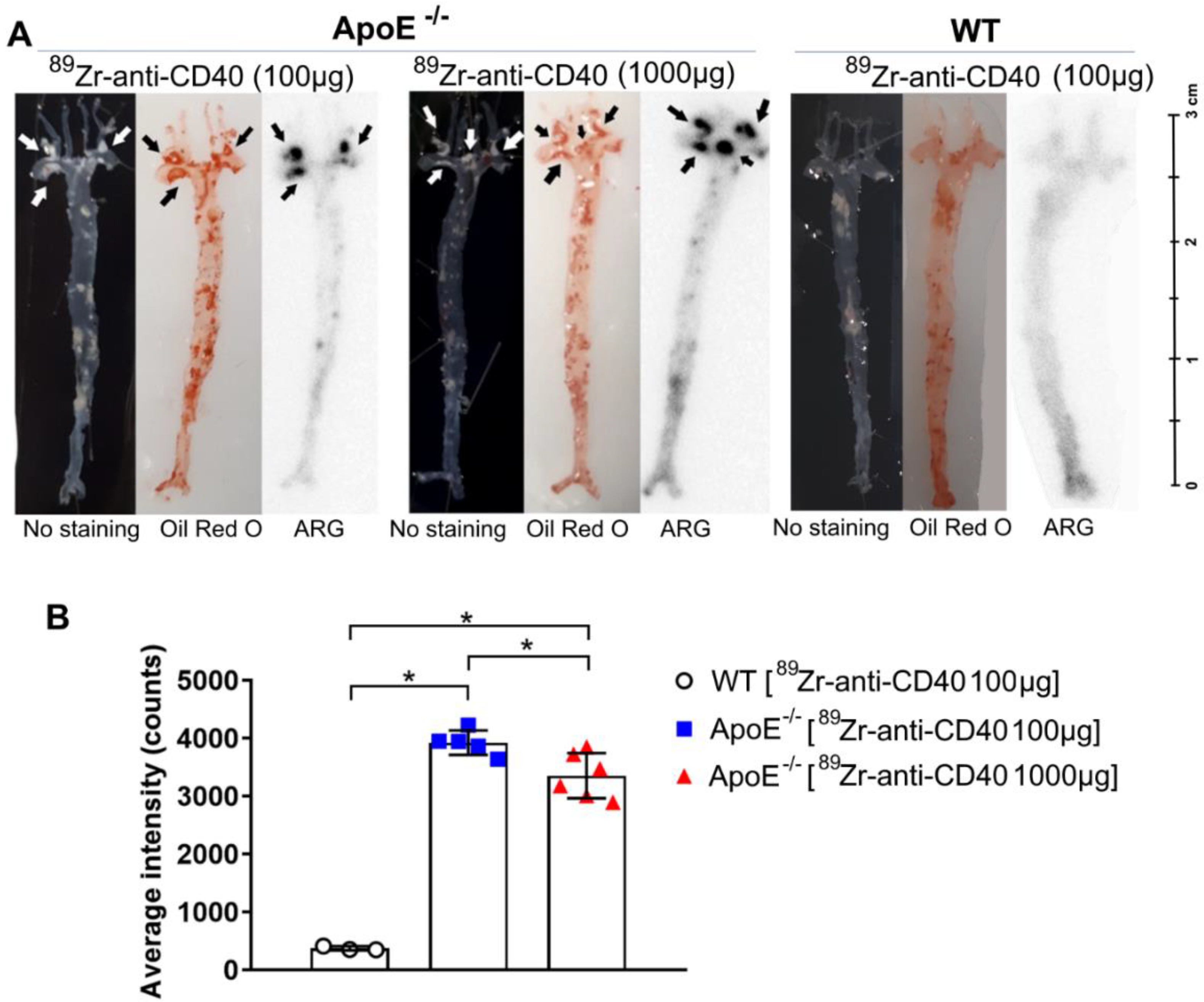 Biology 11 00408 g005 550