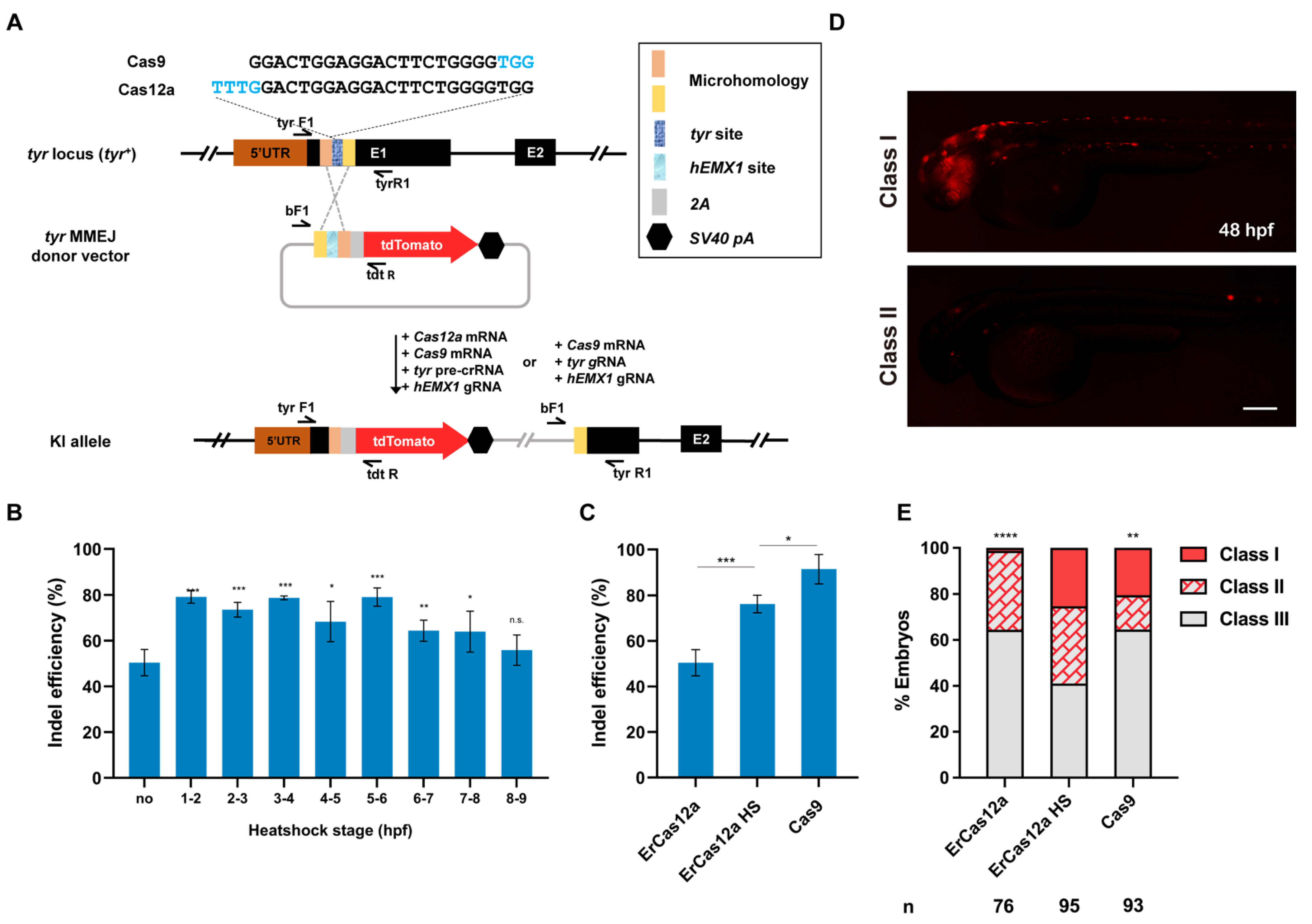 Biology 11 00411 g001