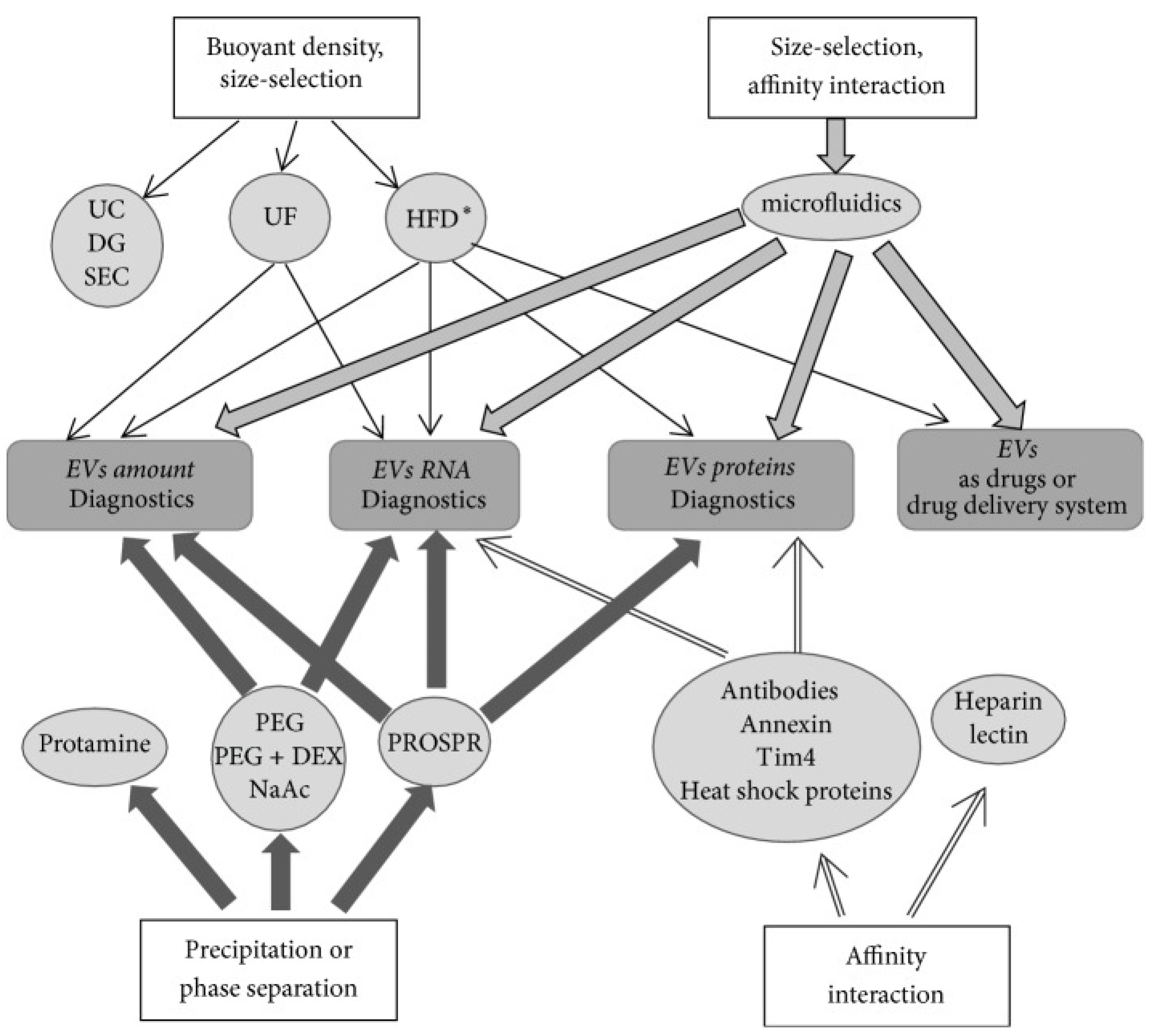 Biology 11 00413 g003