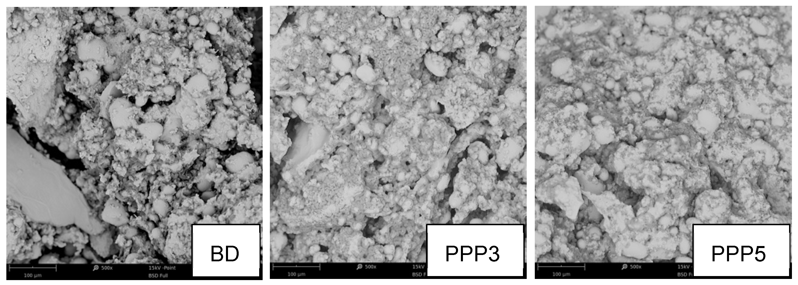 Biology 11 00416 g007