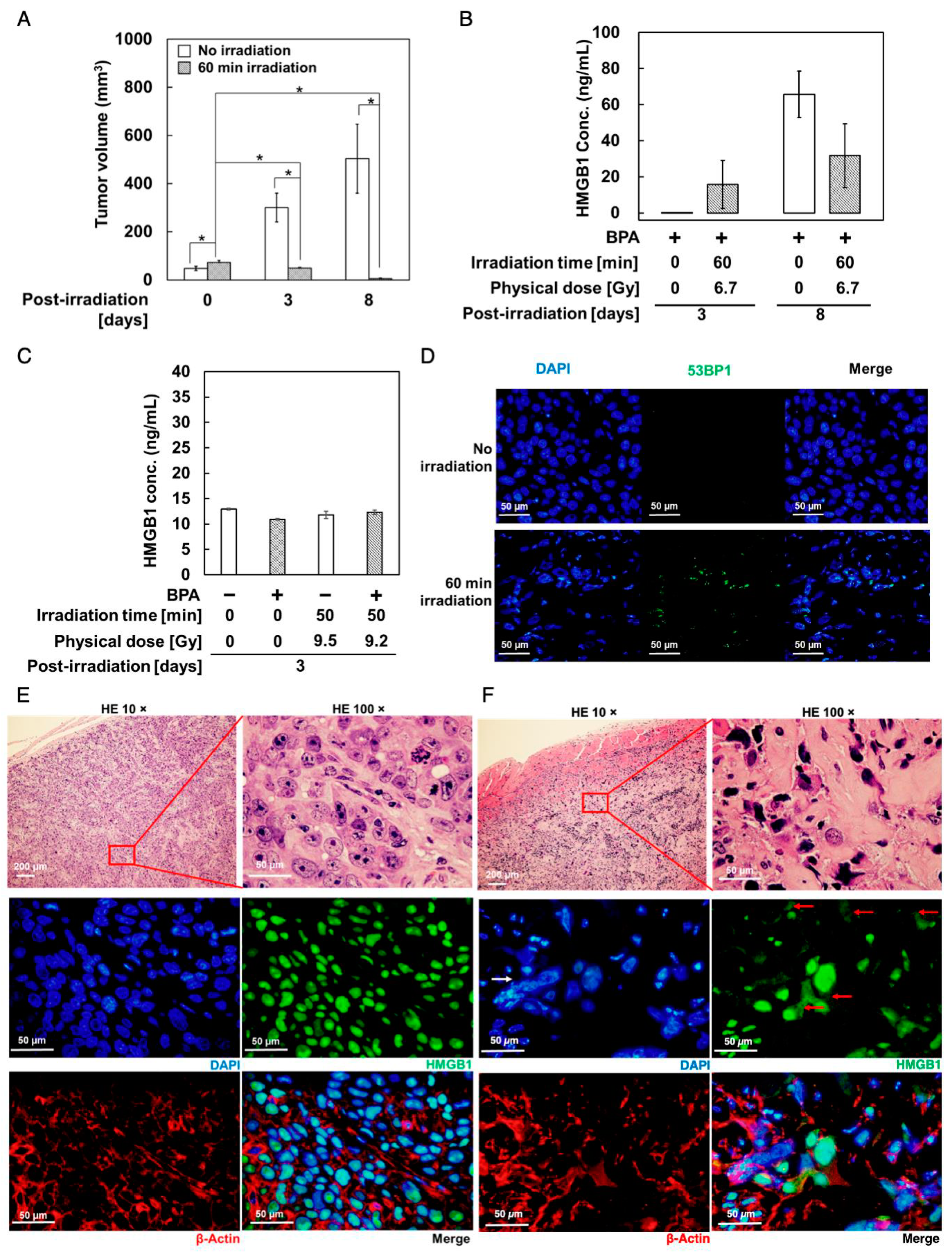 Biology 11 00420 g004