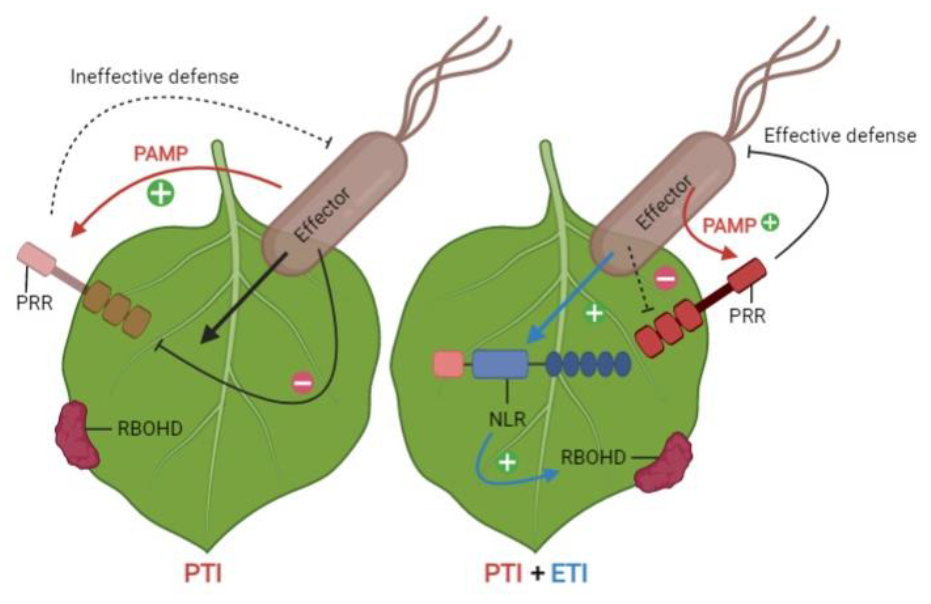 Biology 11 00421 g001