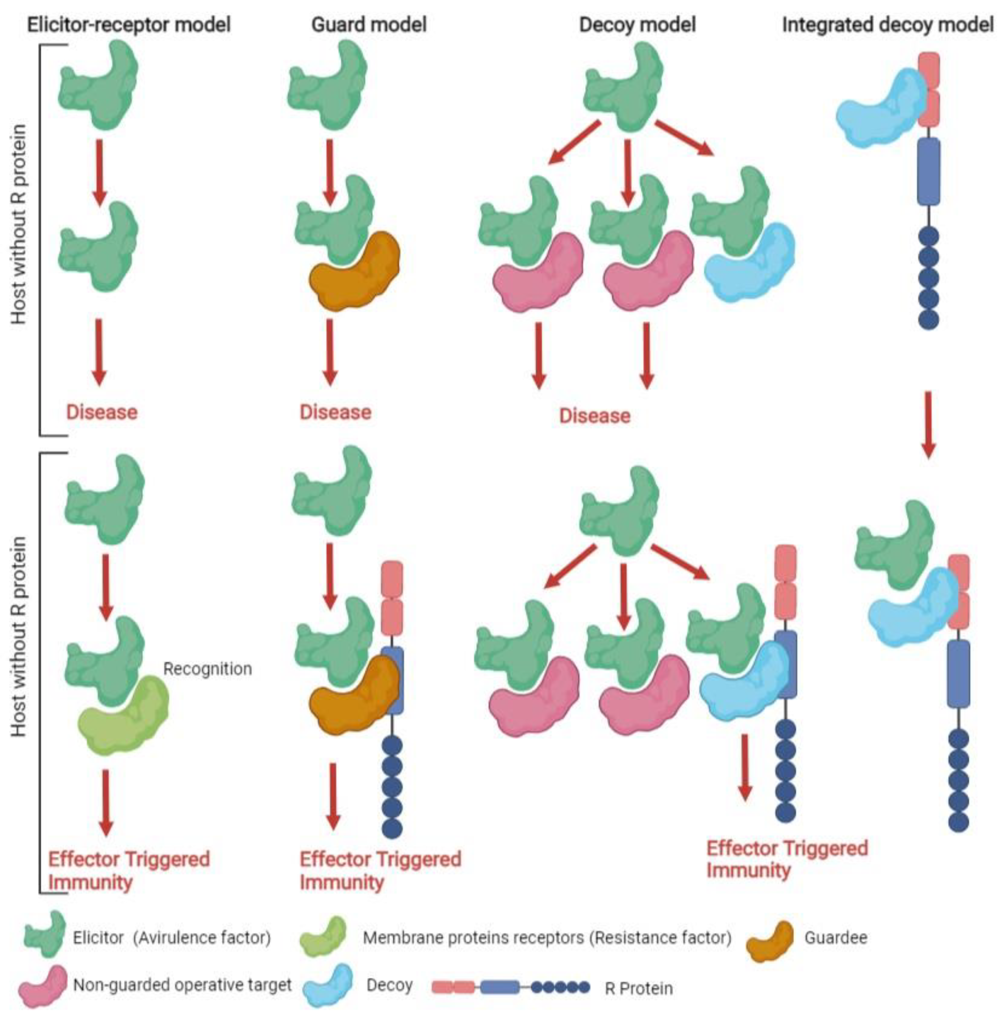 Biology 11 00421 g002