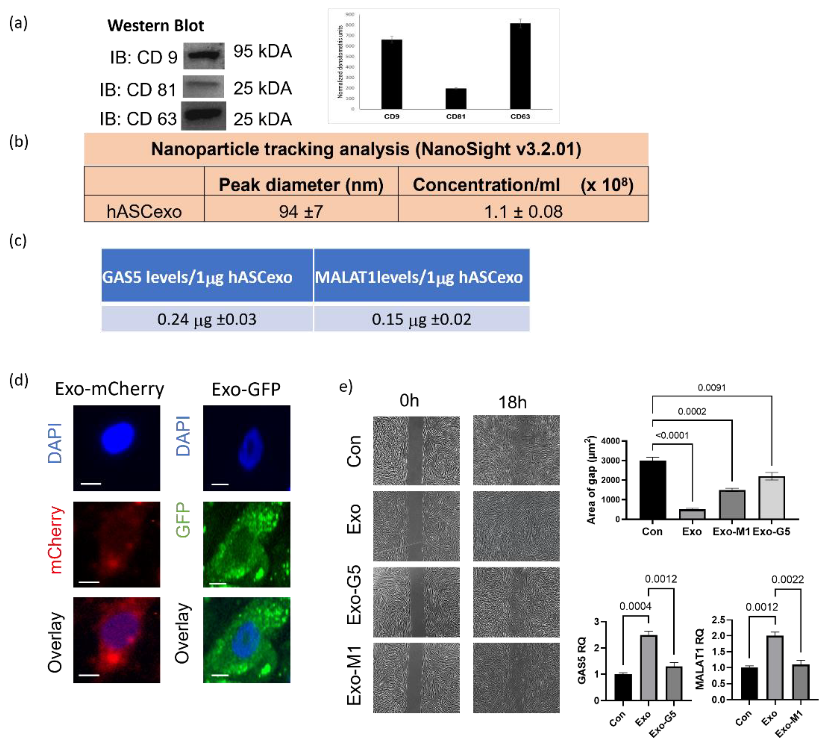 Biology 11 00426 g001