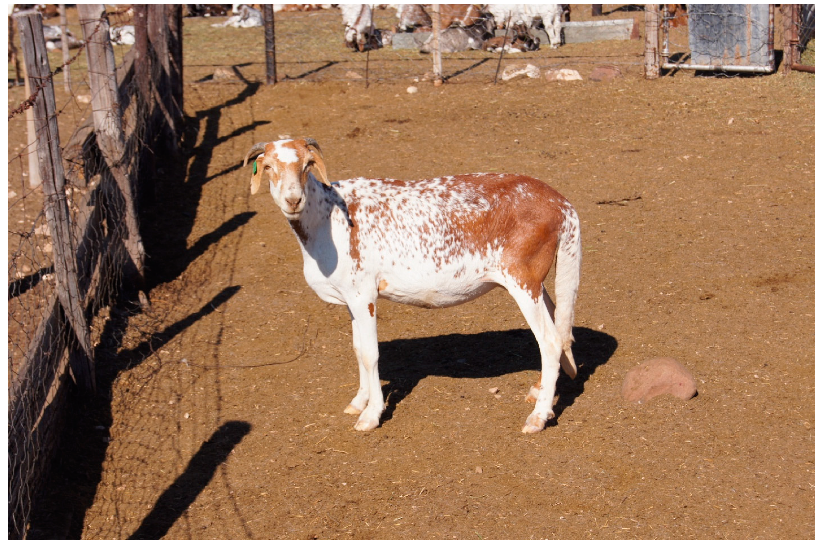 Biology 11 00428 g001 Biology 11 00428 g001