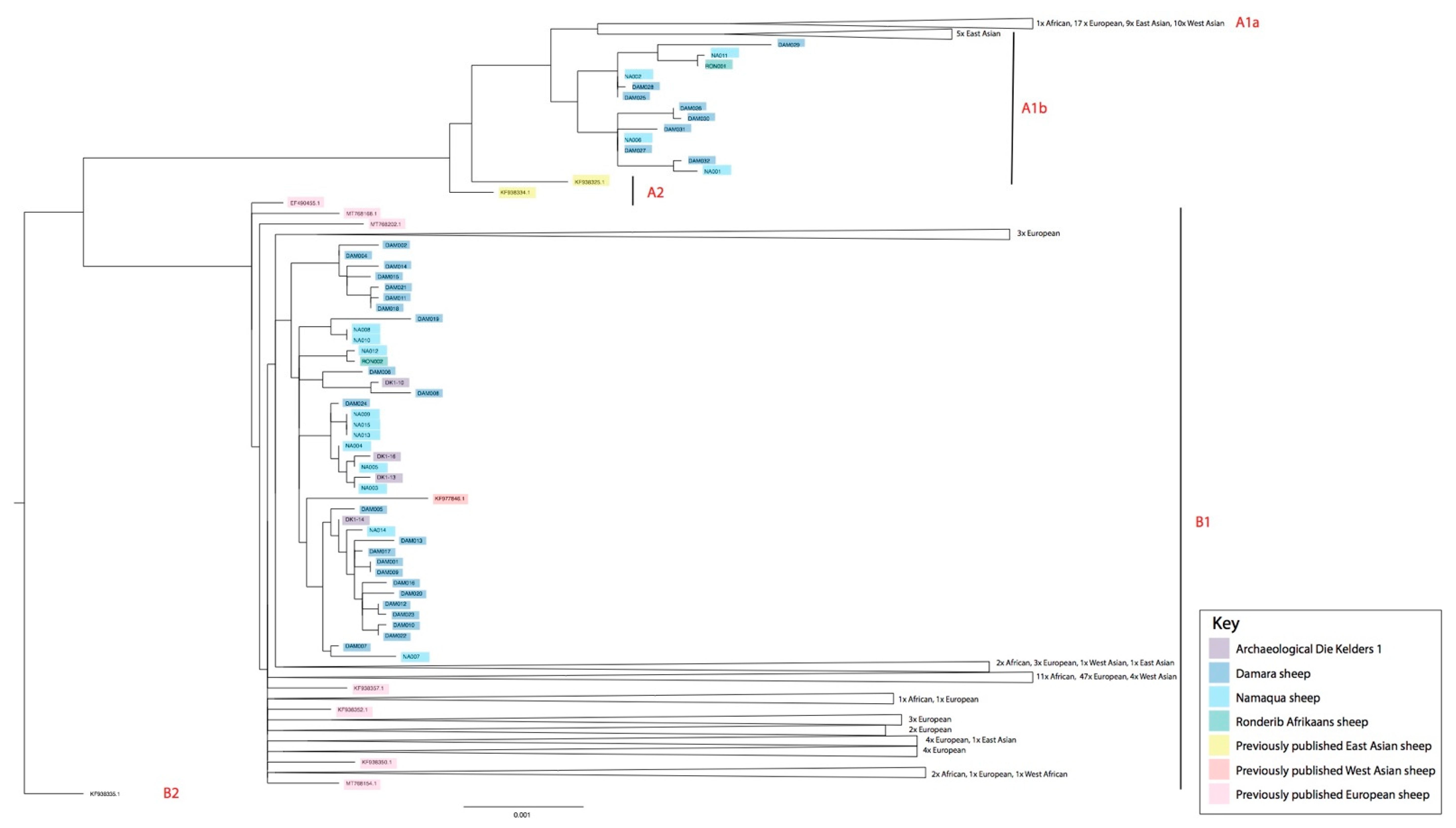 Biology 11 00428 g003 Biology 11 00428 g003