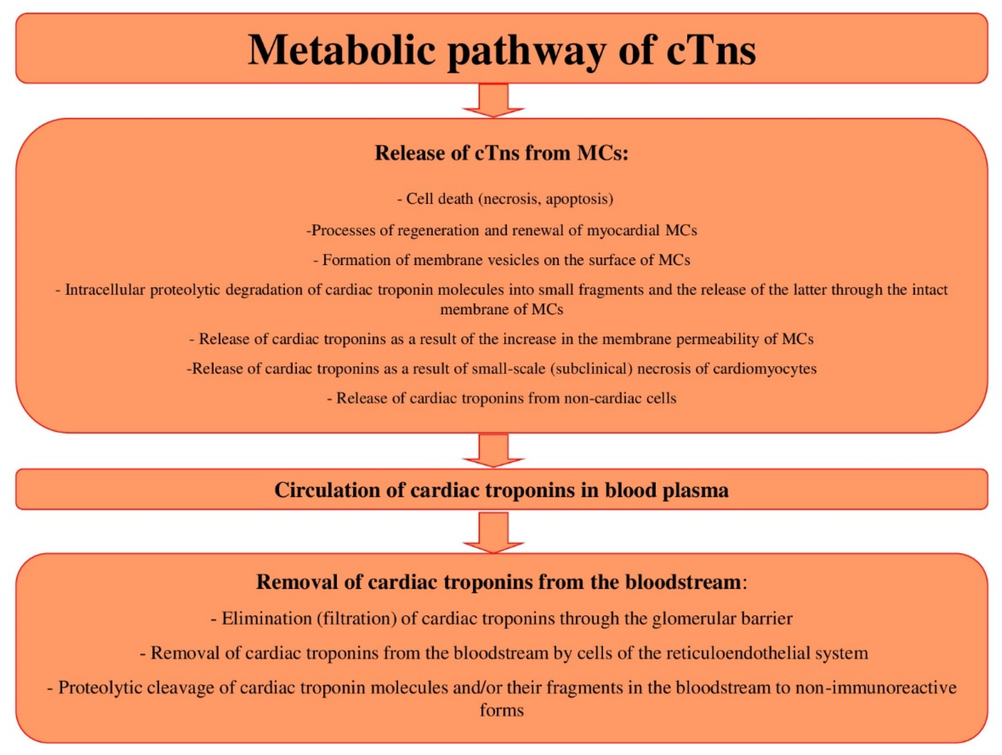 Biology 11 00429 g002 Biology 11 00429 g002