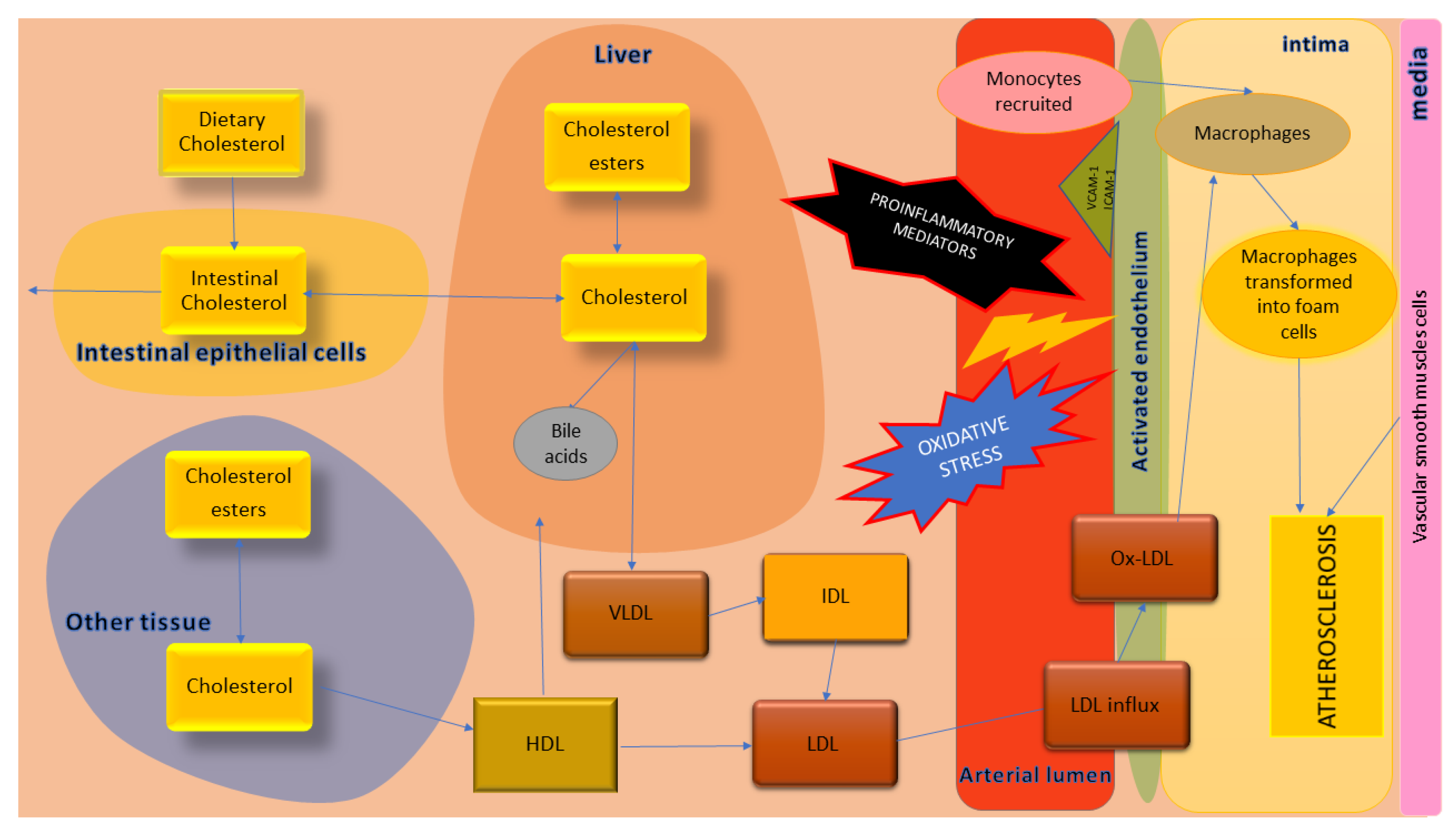 Biology 11 00430 g002