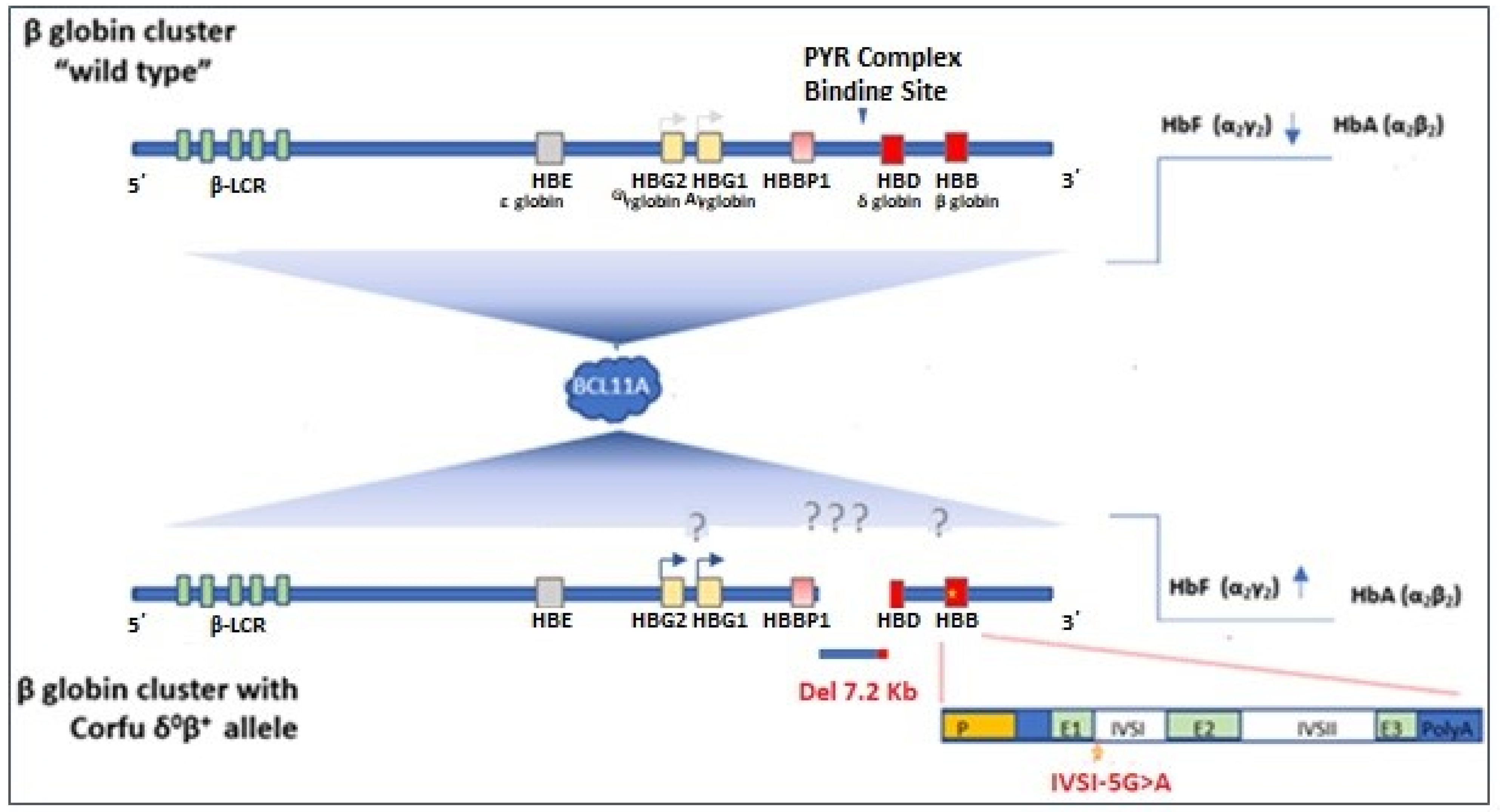 Biology 11 00432 g003