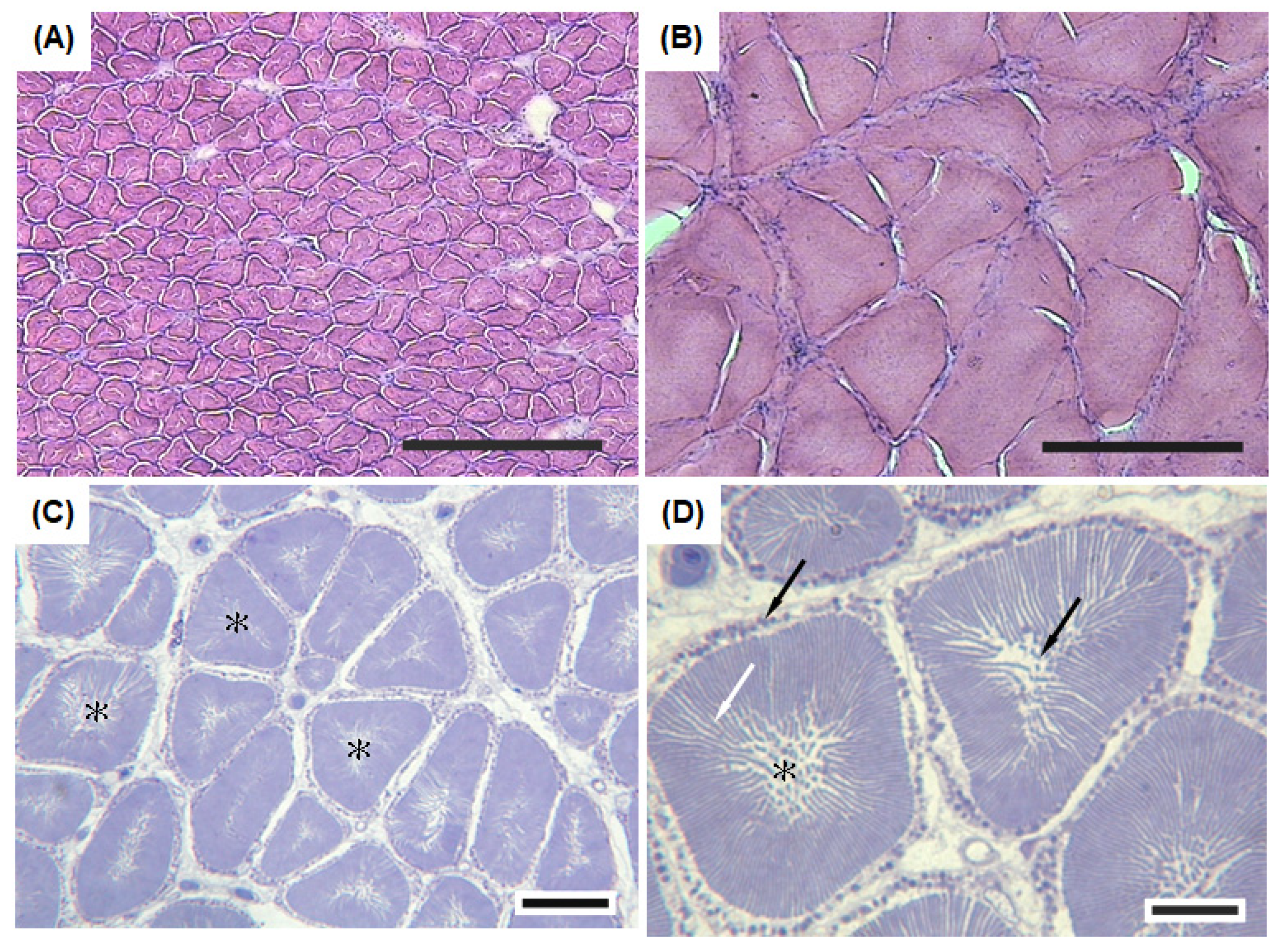 Biology 11 00438 g004