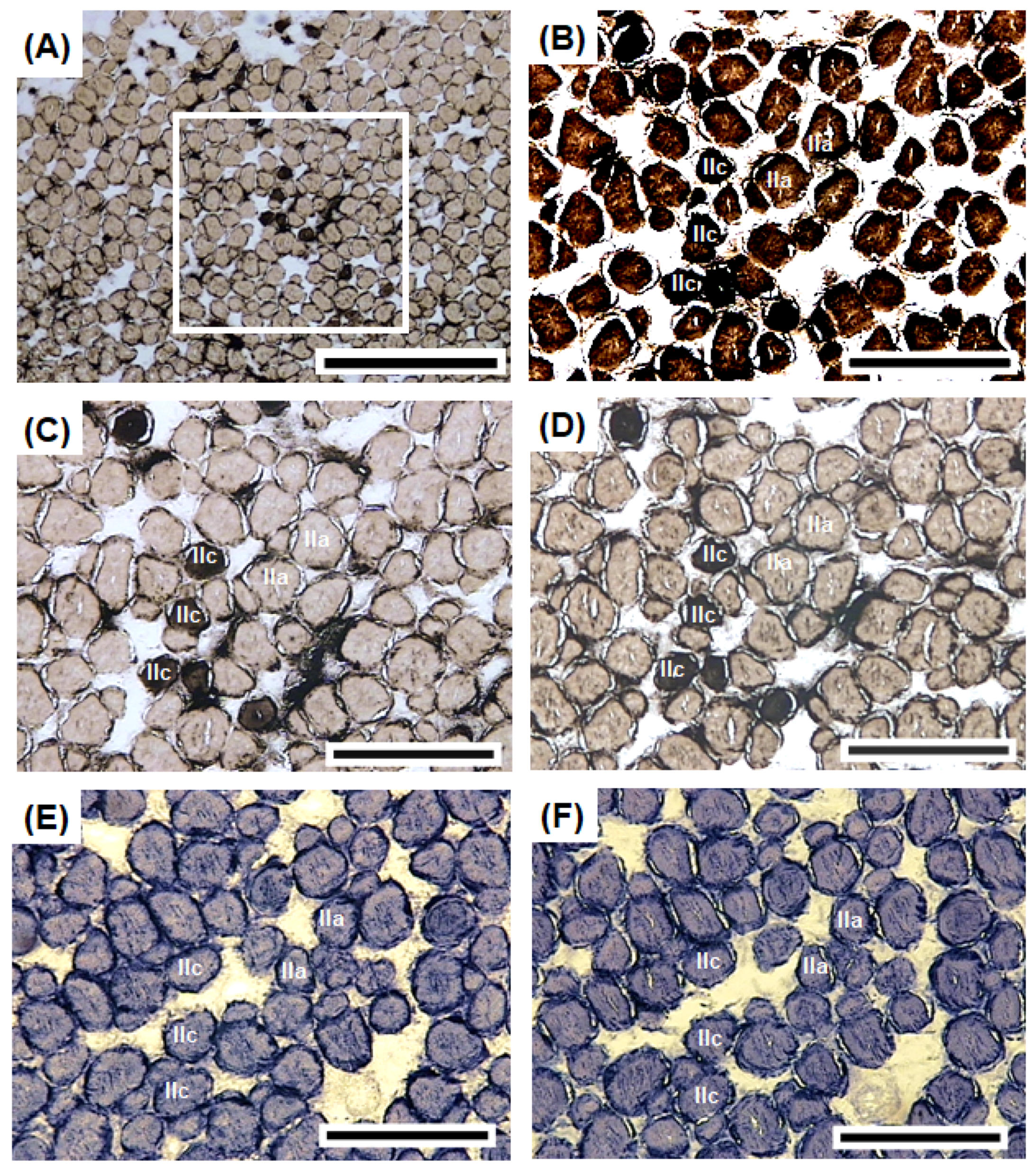 Biology 11 00438 g005