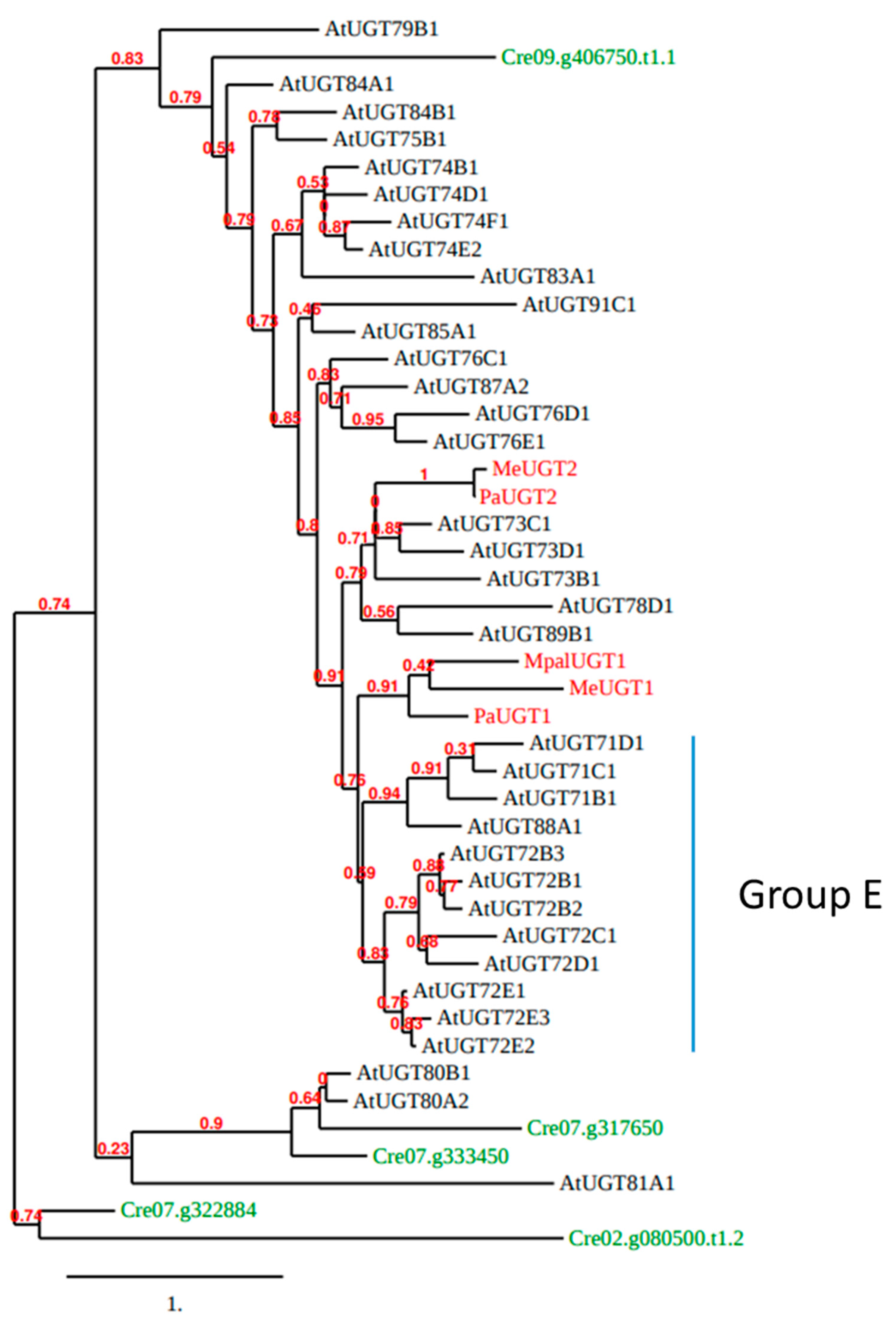 Biology 11 00441 g004 550