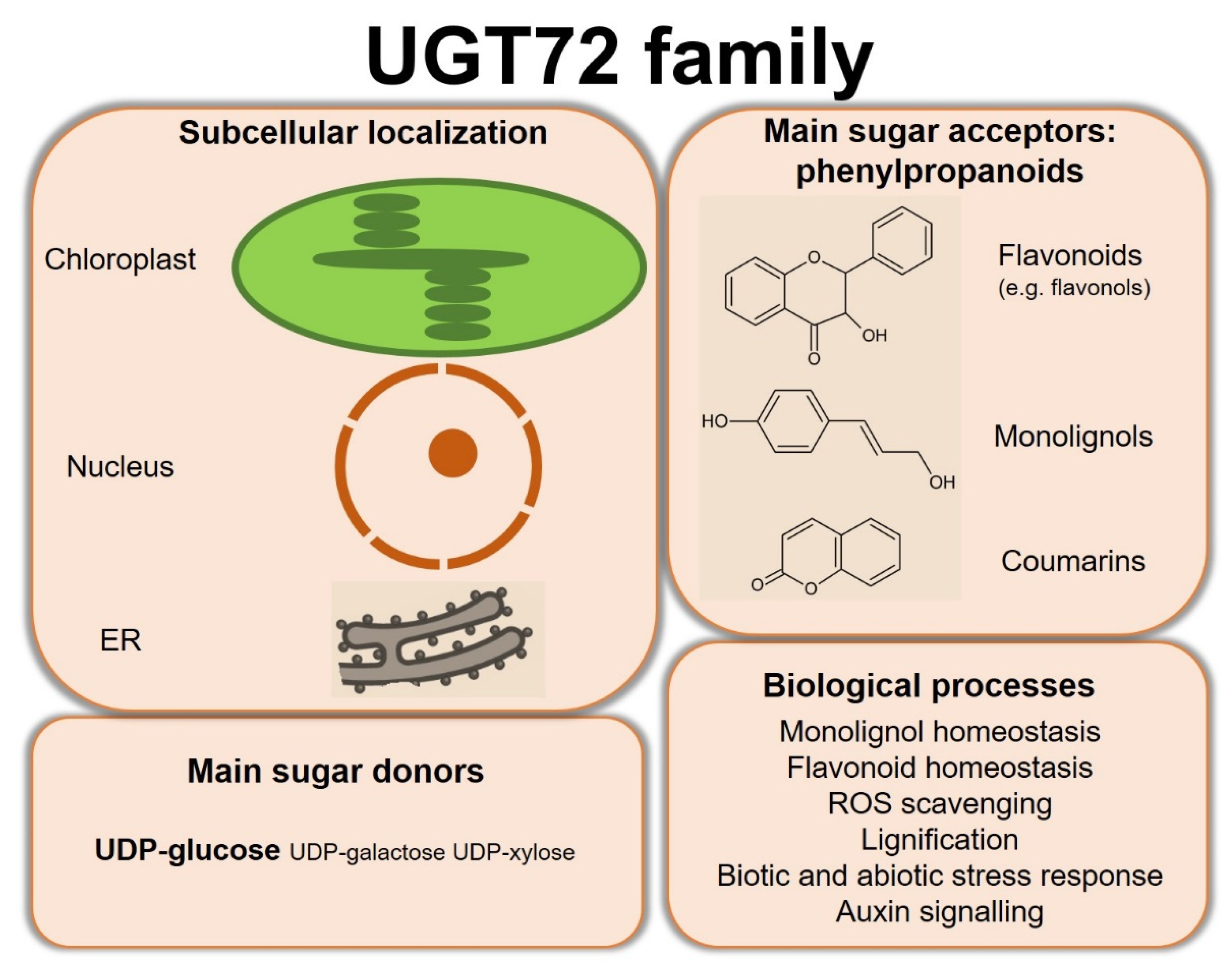 Biology 11 00441 g005 550