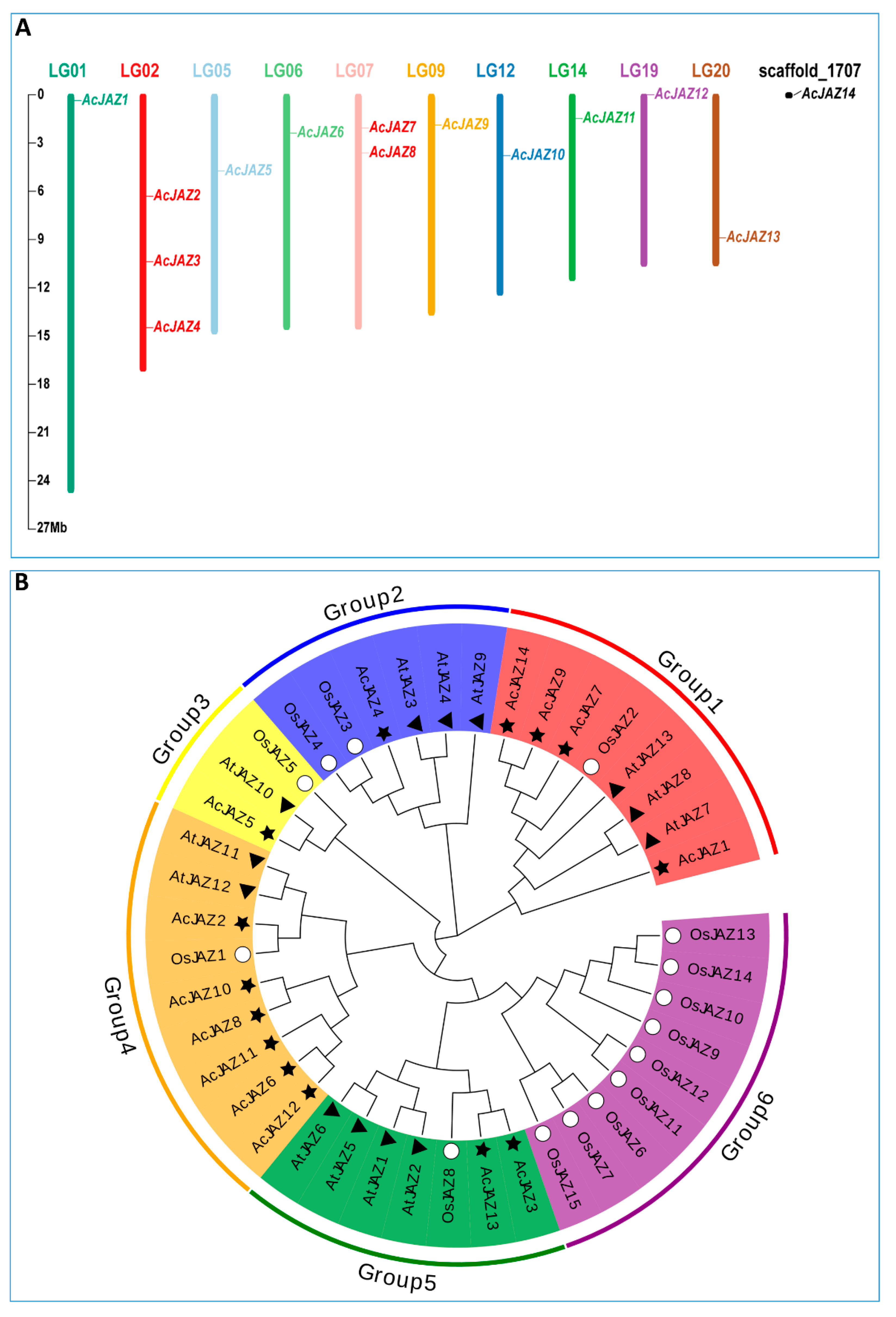 Biology 11 00445 g001