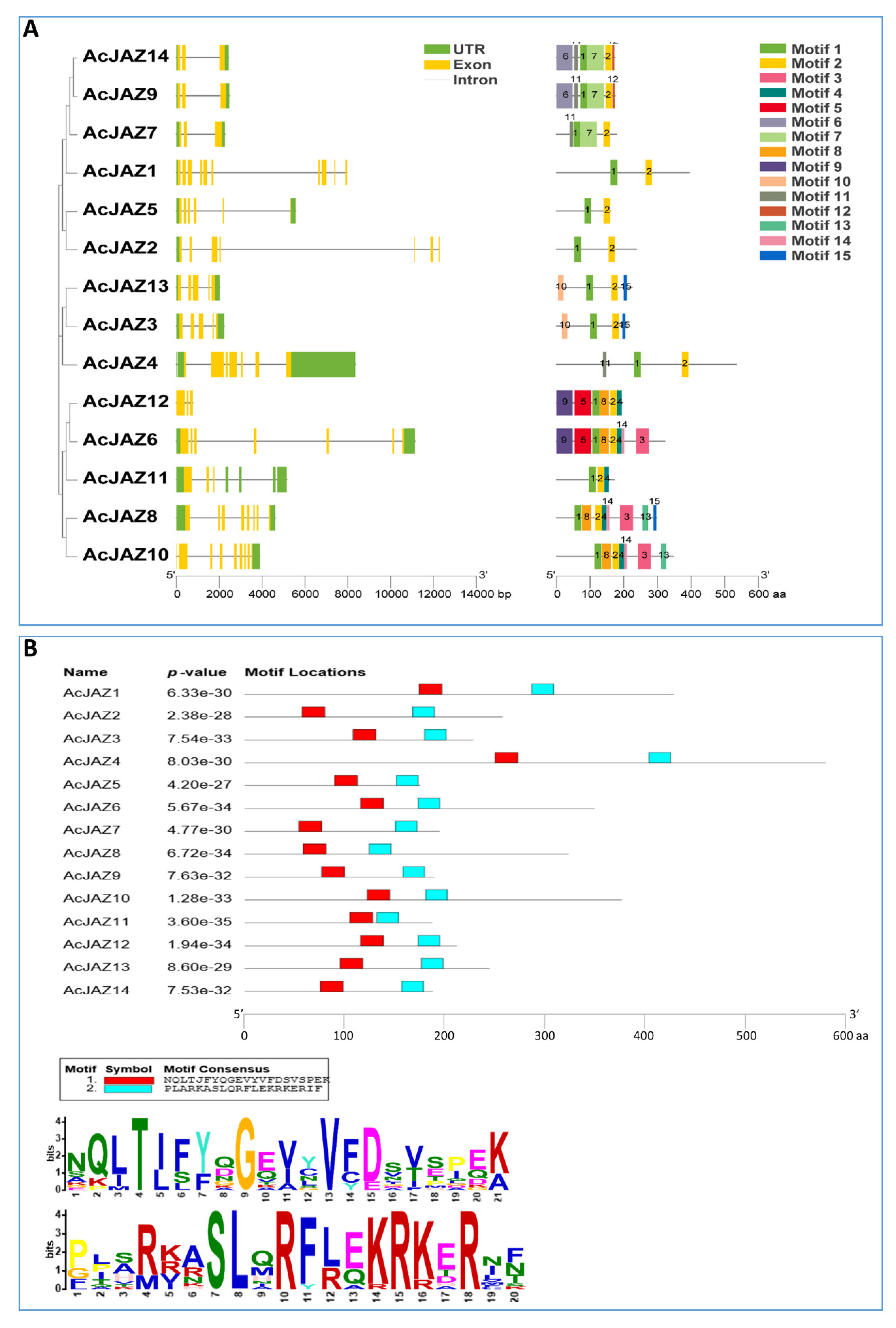 Biology 11 00445 g002