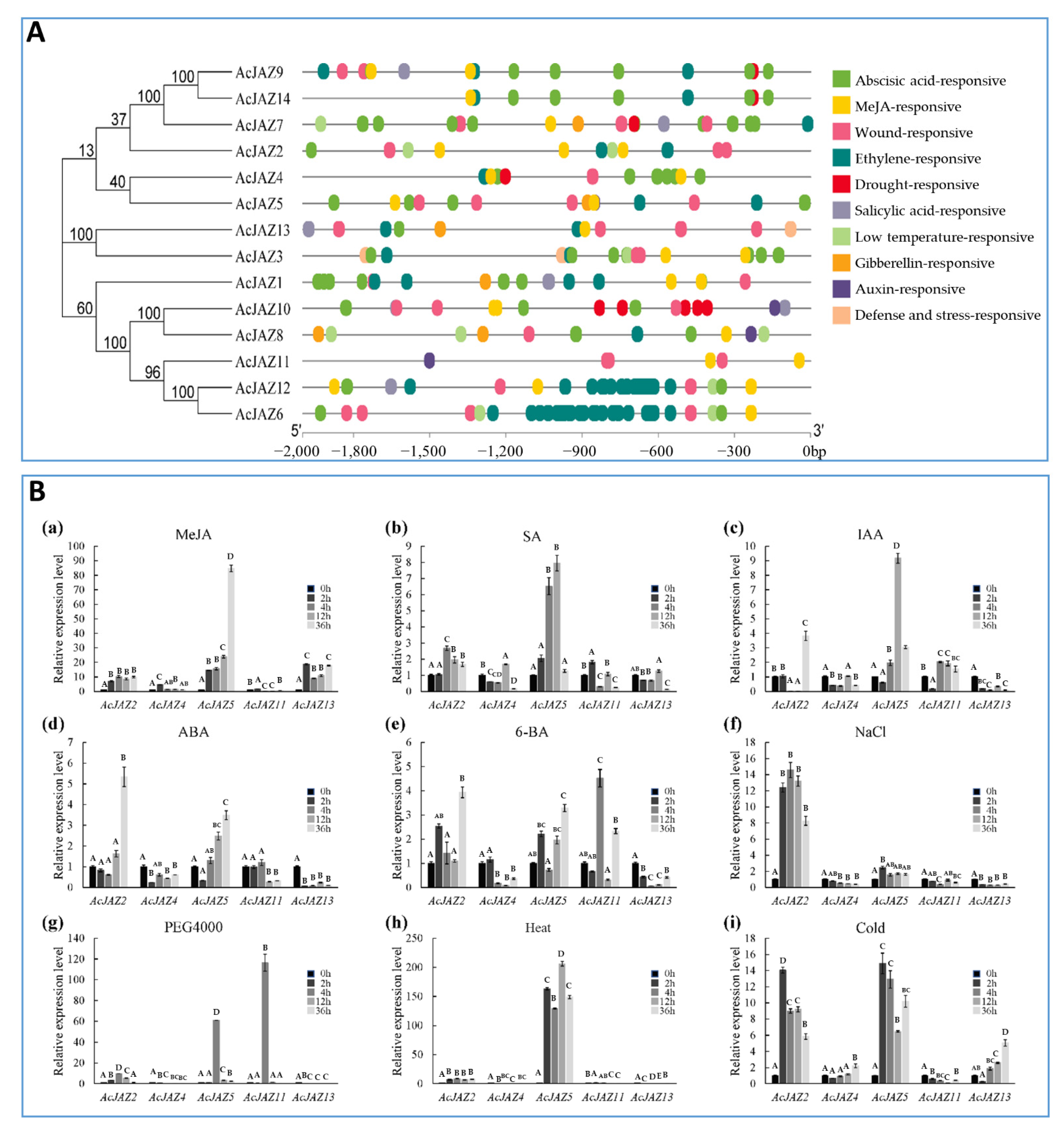Biology 11 00445 g004
