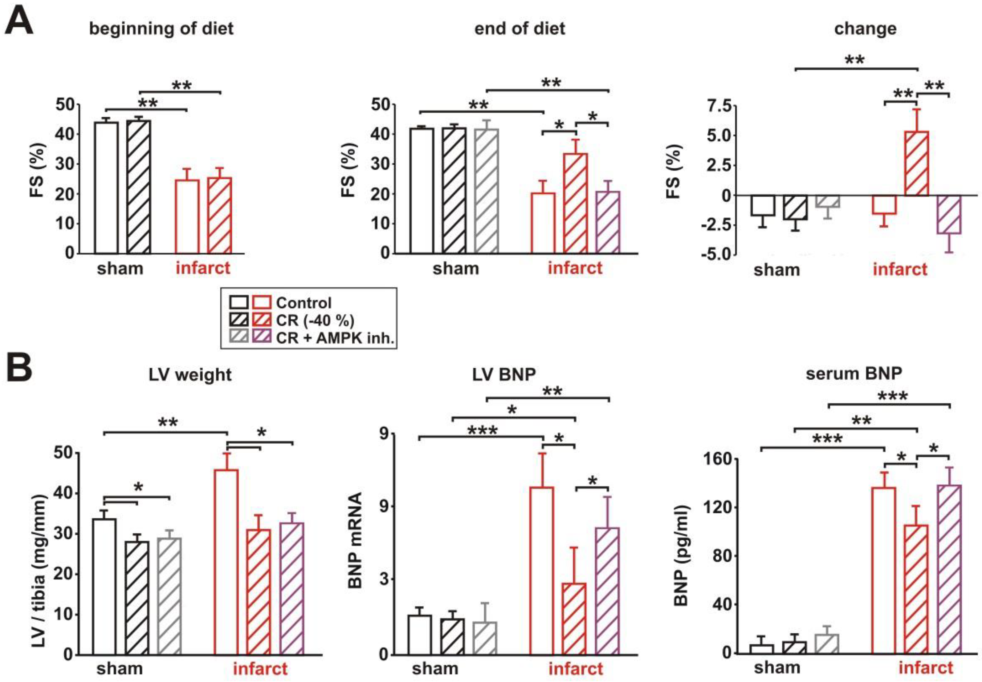 Biology 11 00448 g004 Biology 11 00448 g004