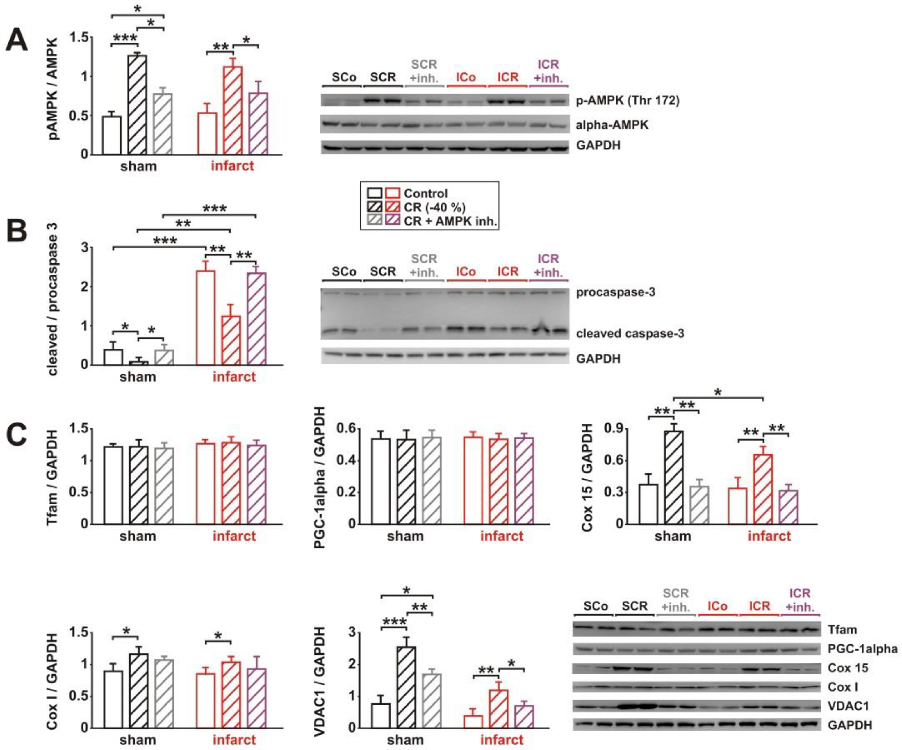Biology 11 00448 g005 Biology 11 00448 g005