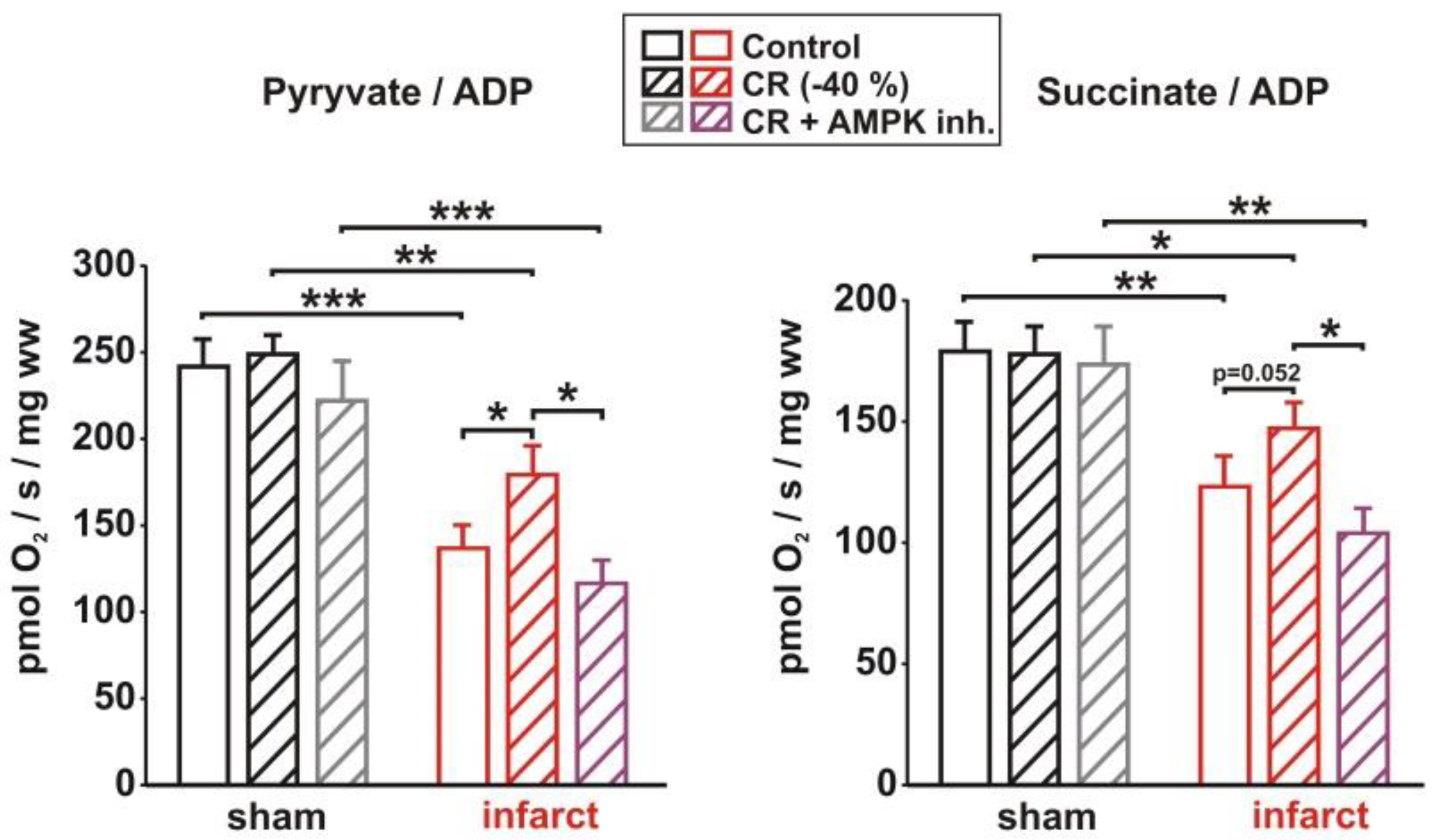 Biology 11 00448 g006 Biology 11 00448 g006