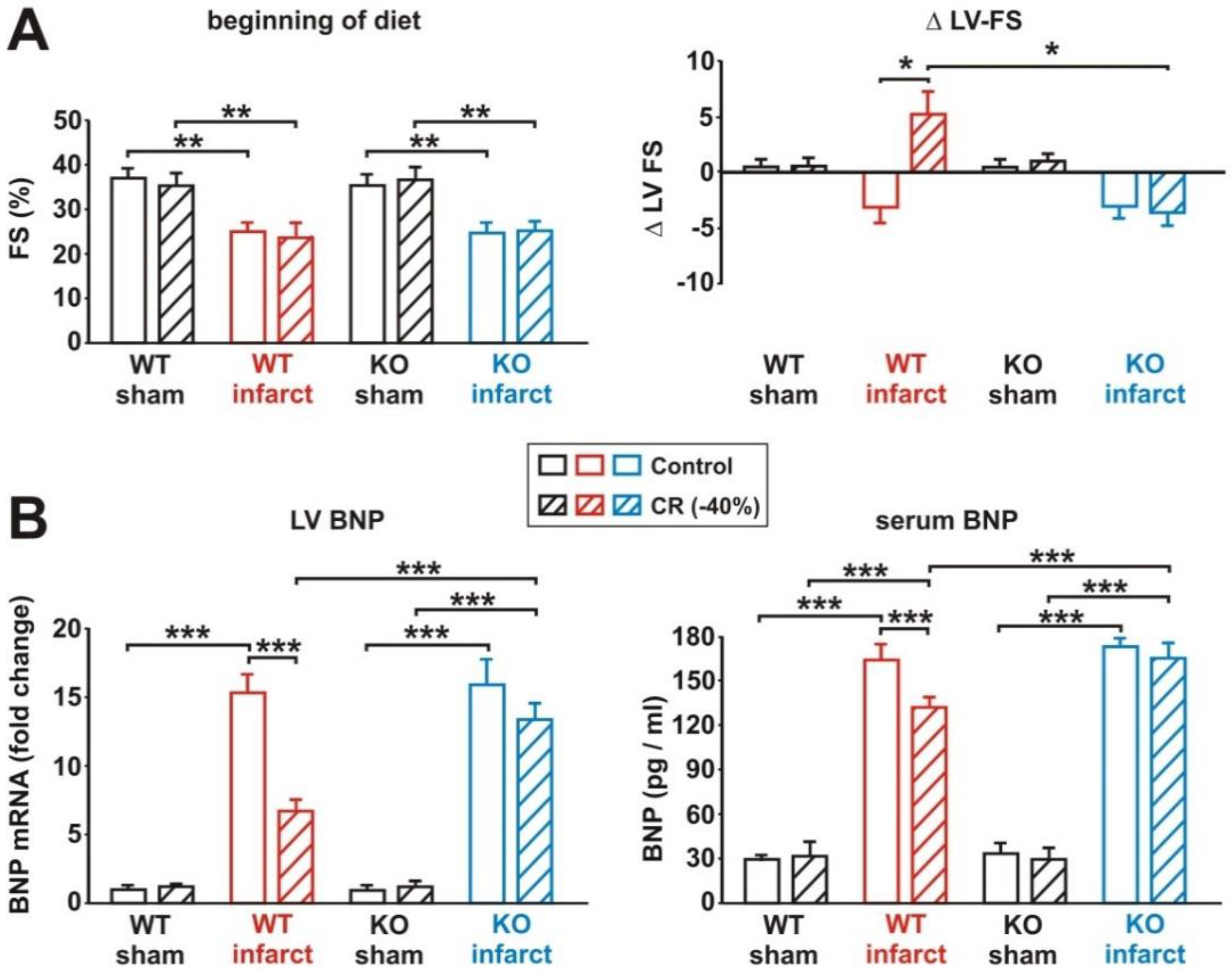 Biology 11 00448 g007 Biology 11 00448 g007