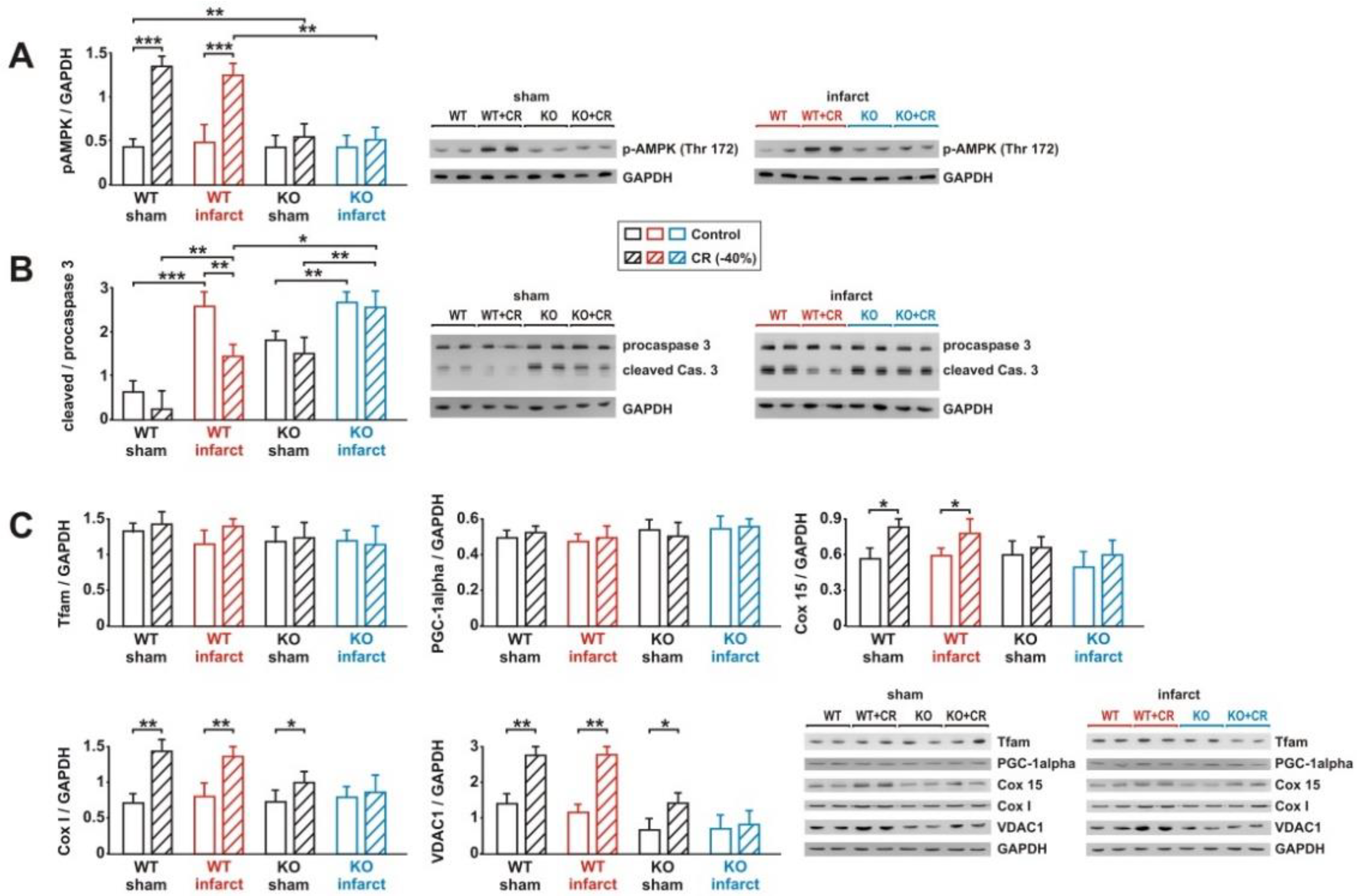 Biology 11 00448 g008 Biology 11 00448 g008