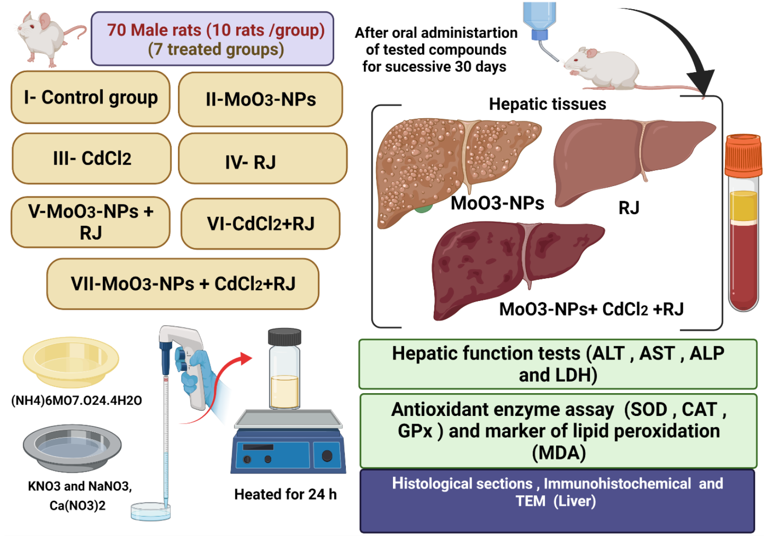 Biology 11 00450 g001 550