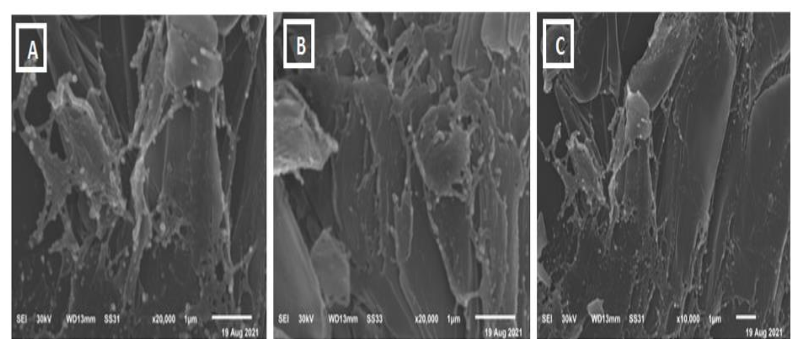Biology 11 00450 g005 550