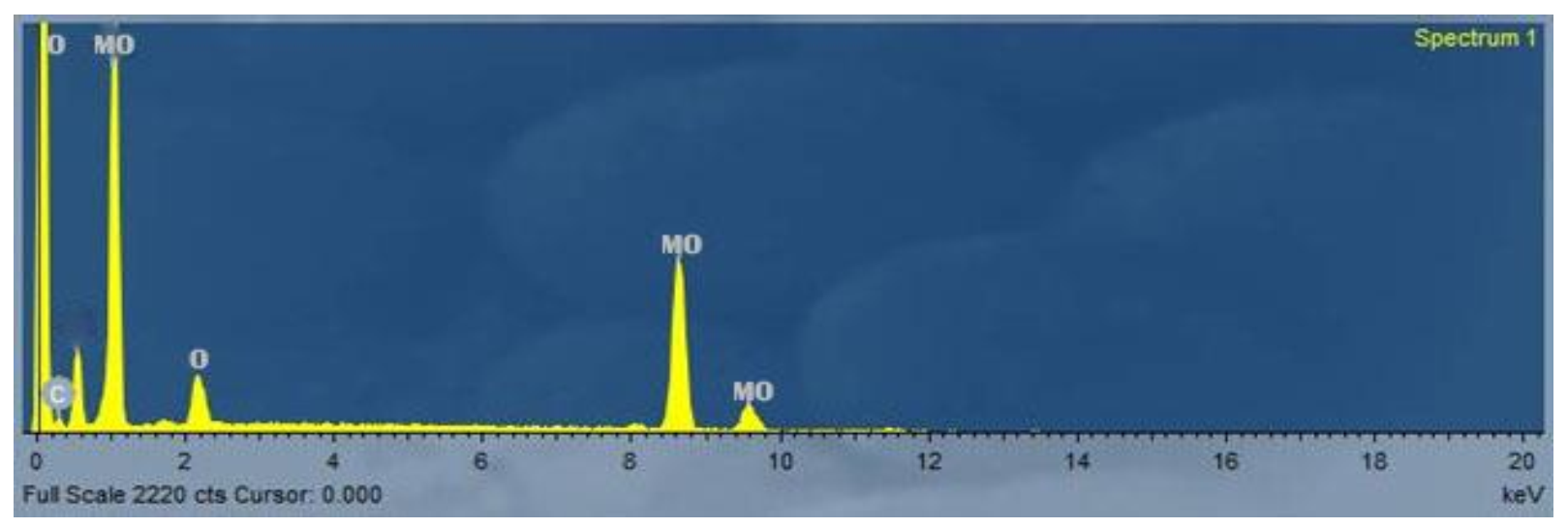Biology 11 00450 g006 550